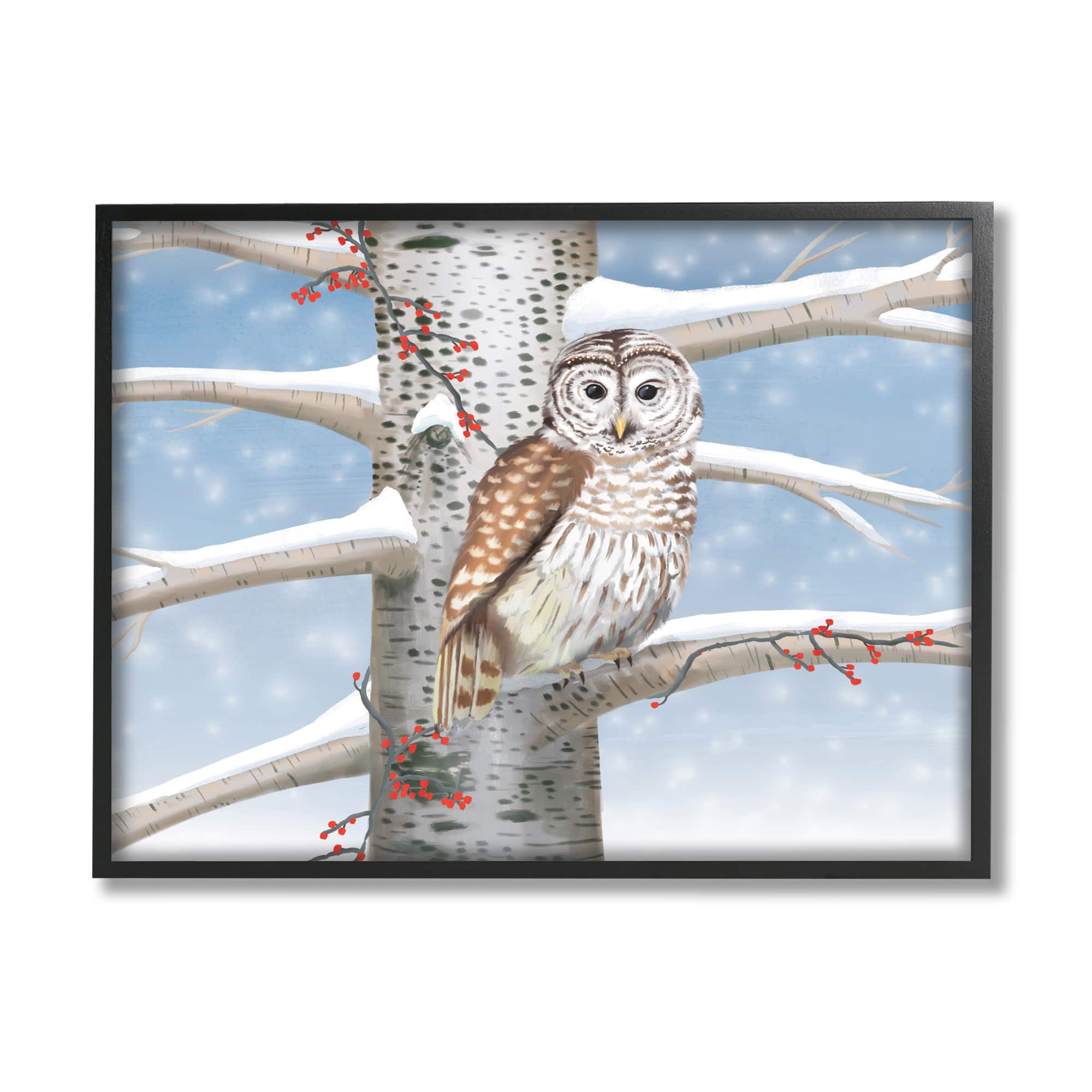 Stupell Industries Snowy Birch Tree Owl Framed Giclee Art
