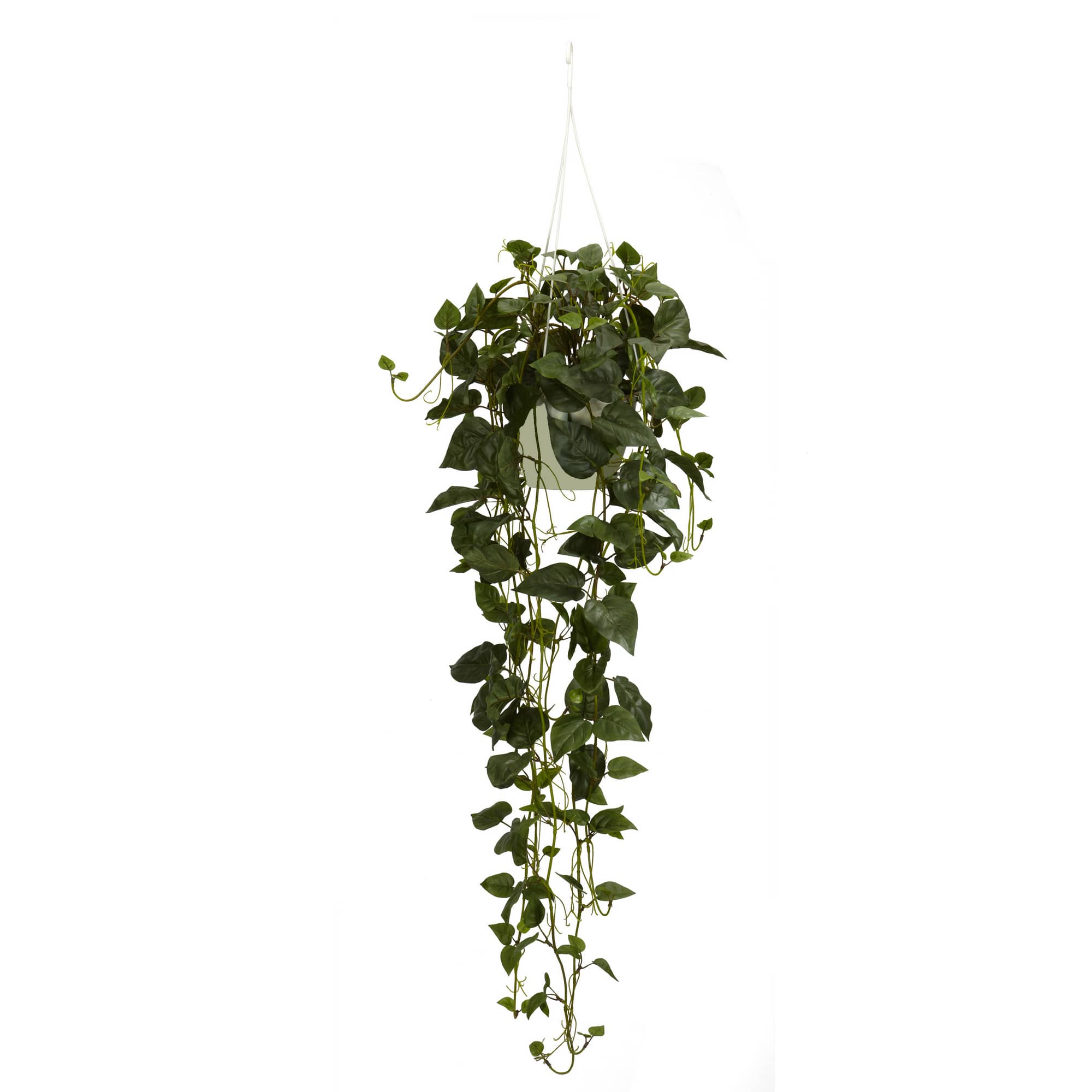 44" Philodendron Hanging Basket Plant