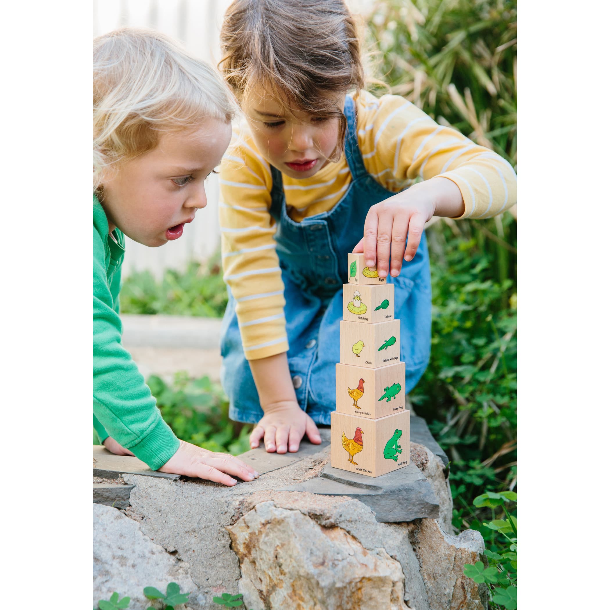 The Freckled Frog Lifecycle Wooden Blocks Set