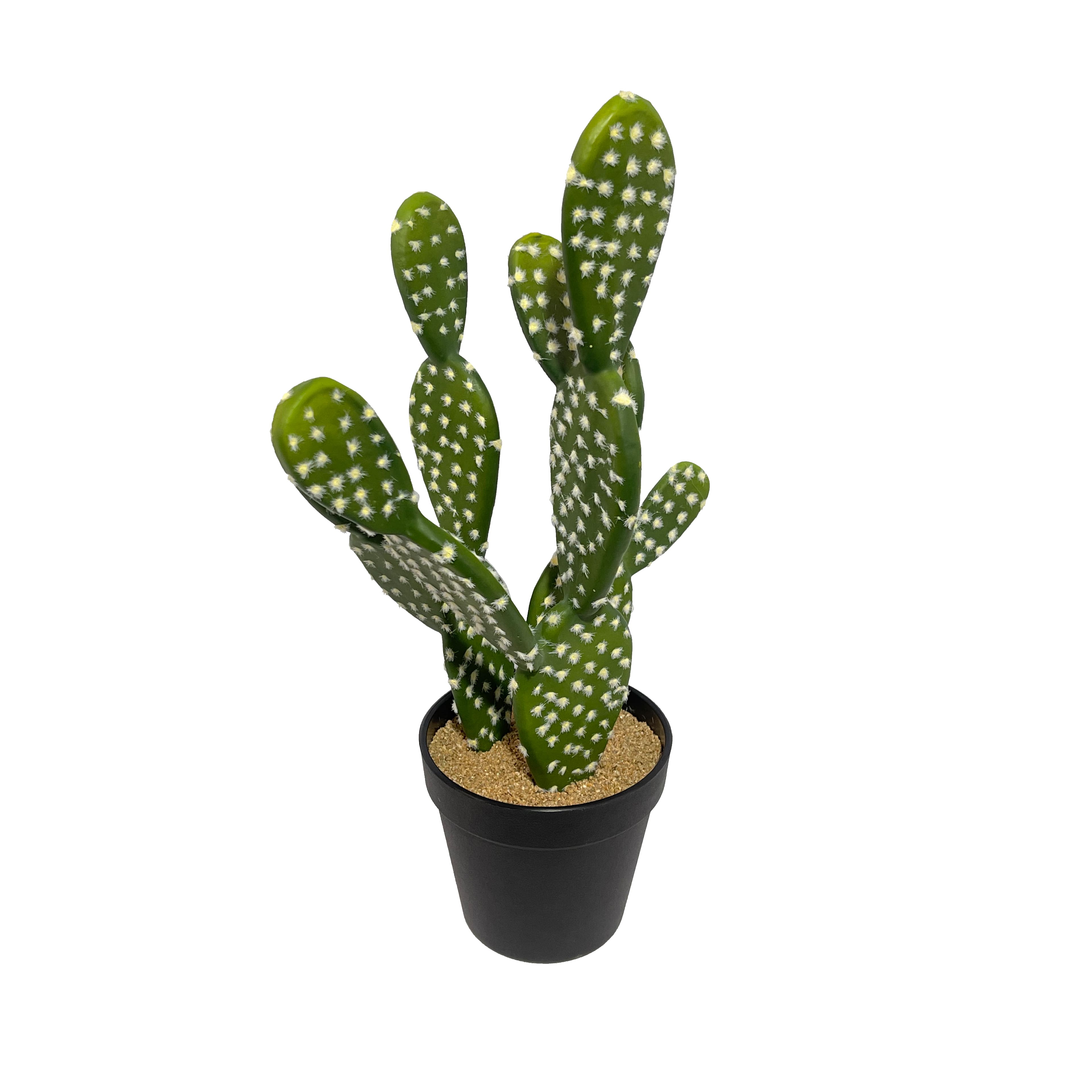 16" Potted Cactus Plant by Ashland®