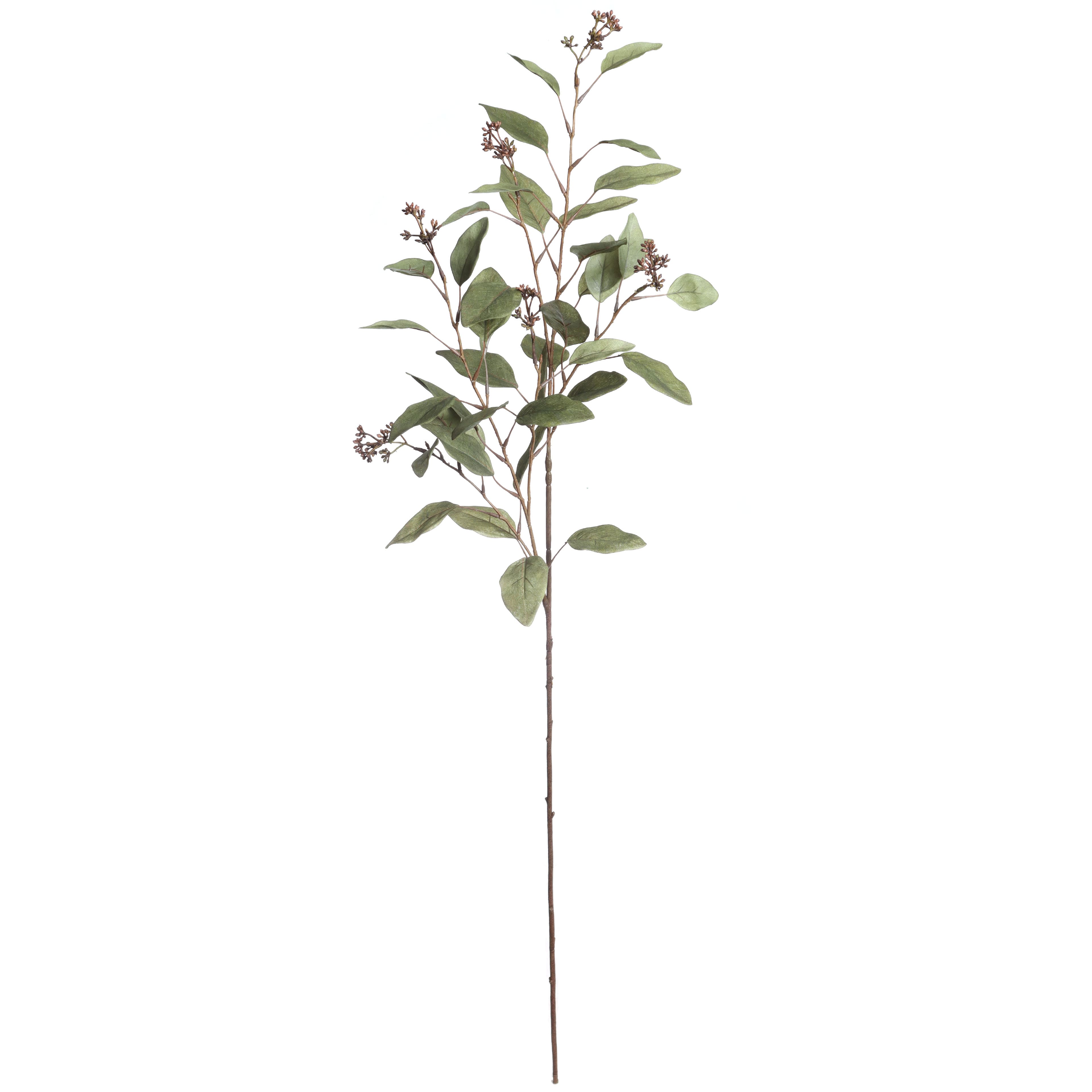 46" Green Eucalyptus Stem by Ashland®