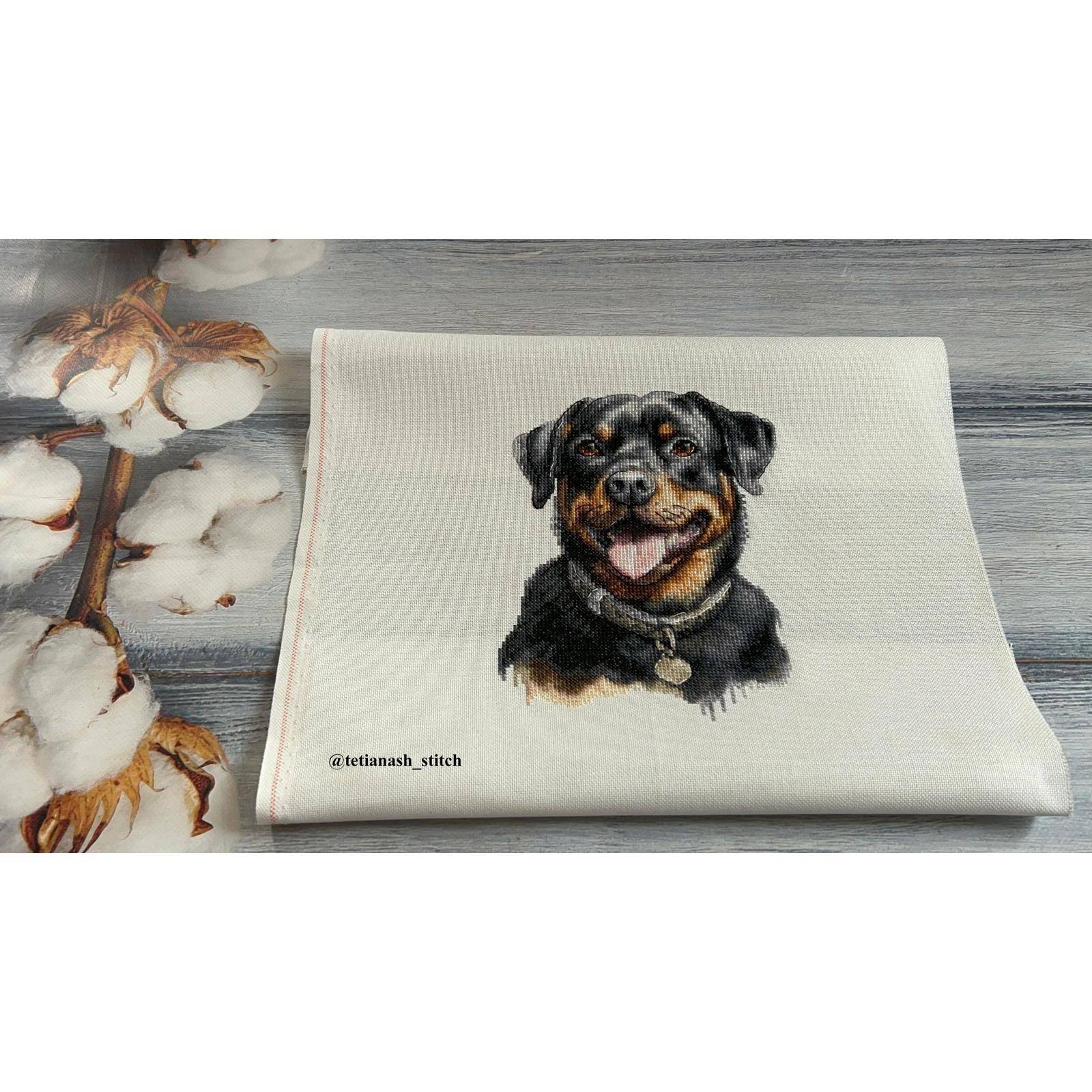 Luca-S Rottweiler Counted Cross Stitch Kit