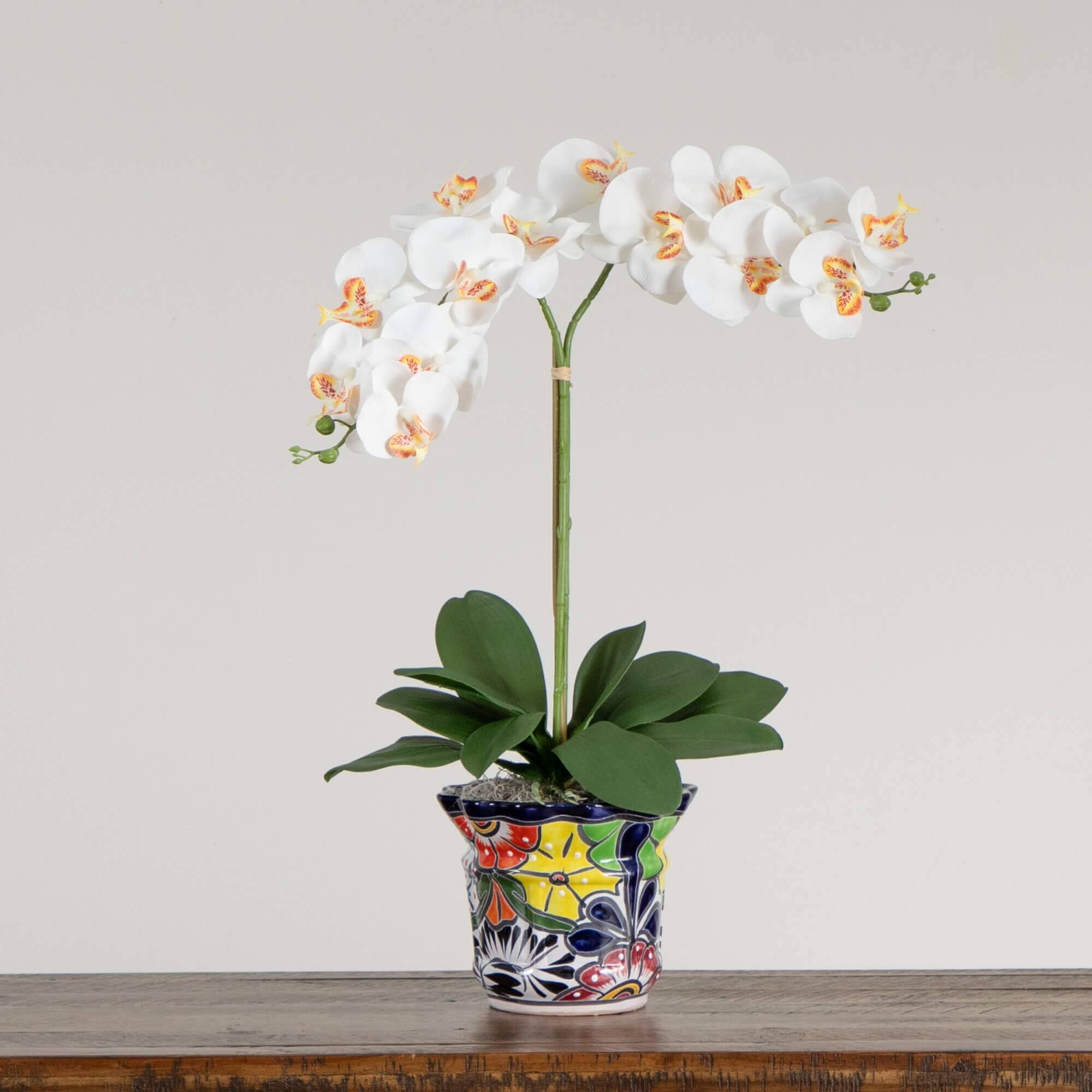 2ft. Artificial Double Orchid Arrangement in Handmade Mexican Talavera Ceramic Planter