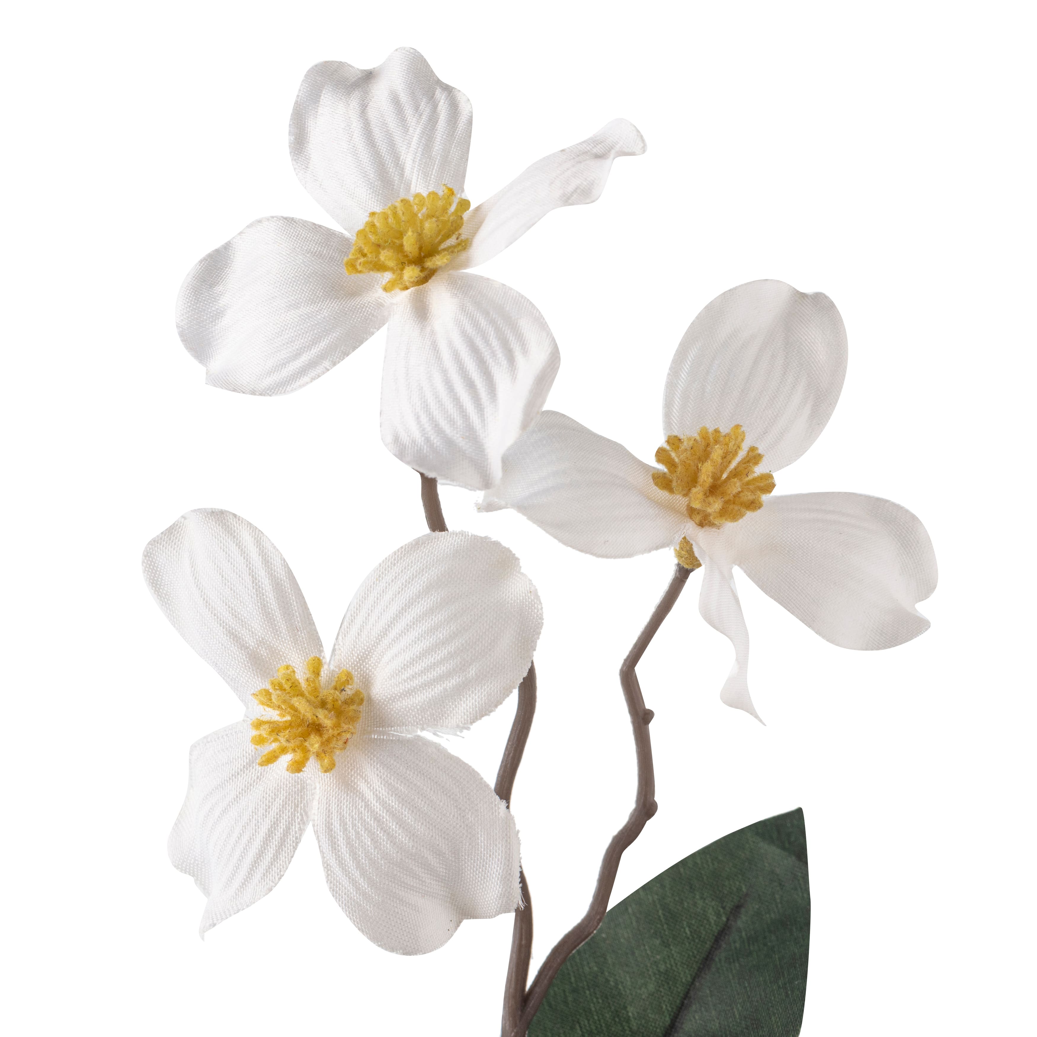 12 Pack: White Mini Dogwood Stem by Ashland®
