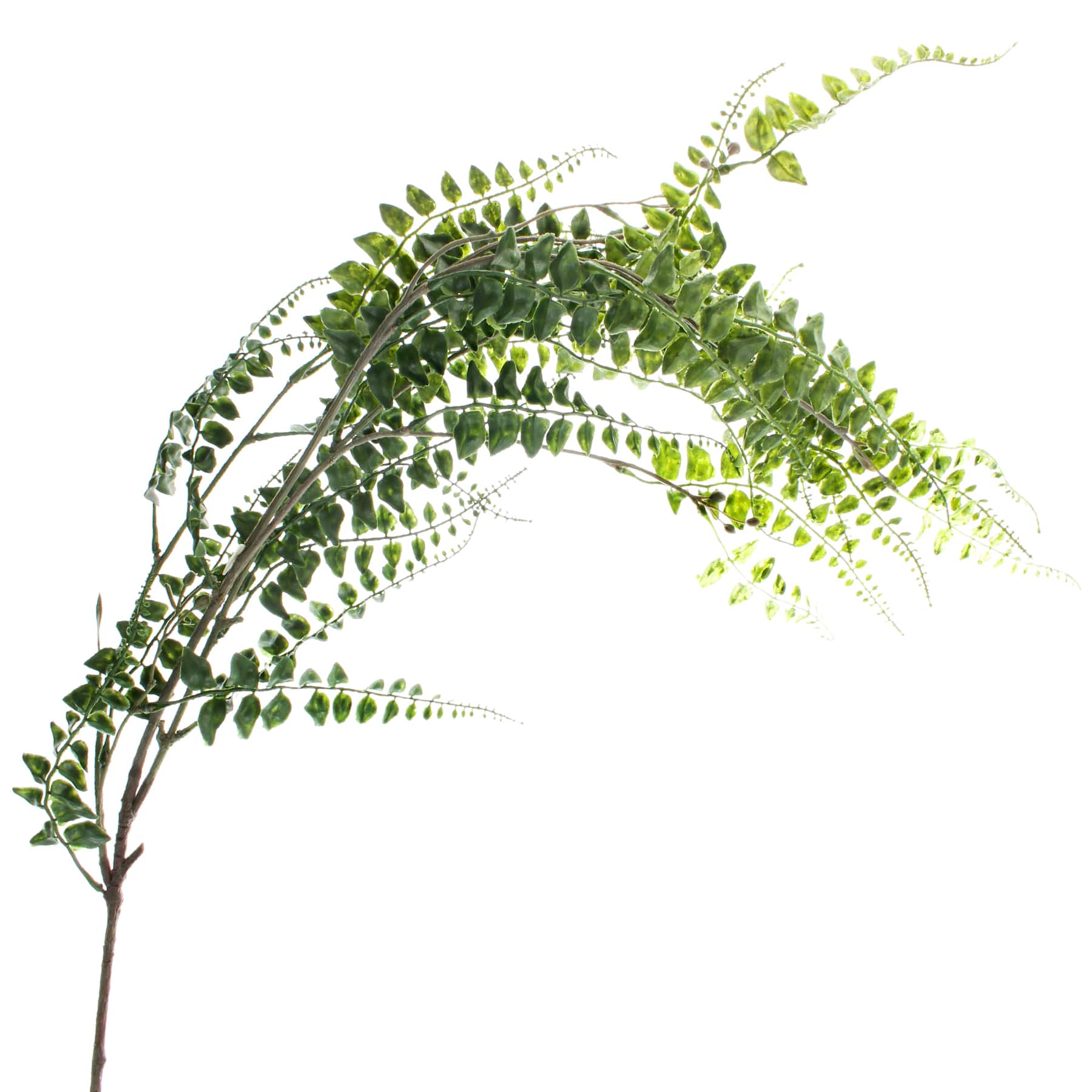 12 Pack: Green Fern Leaf Spray by Ashland®
