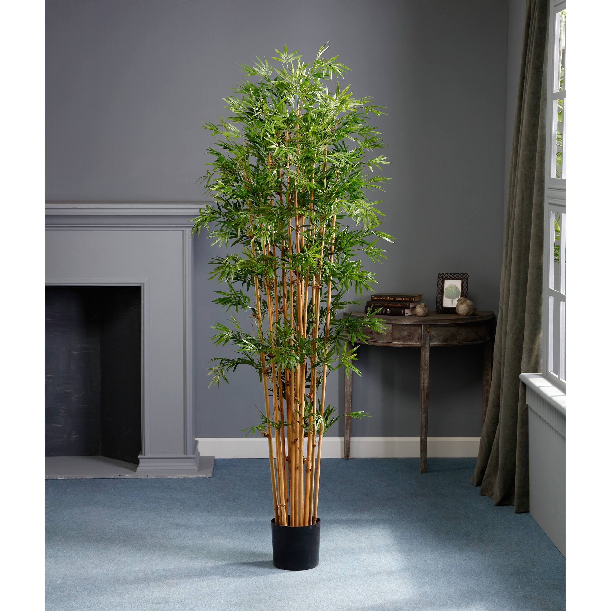6 Ft. Japanese Bamboo Tree
