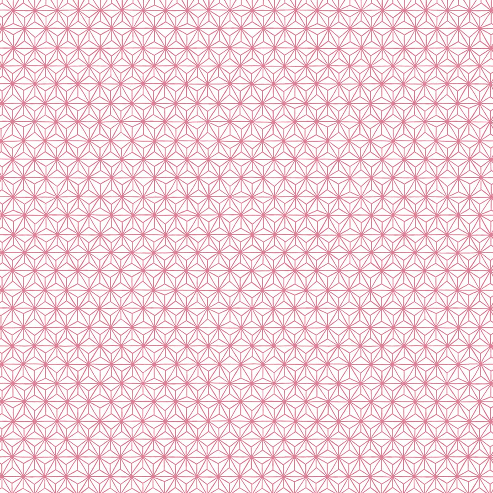 Cricut® Rob & Bob Lattice Deluxe Paper