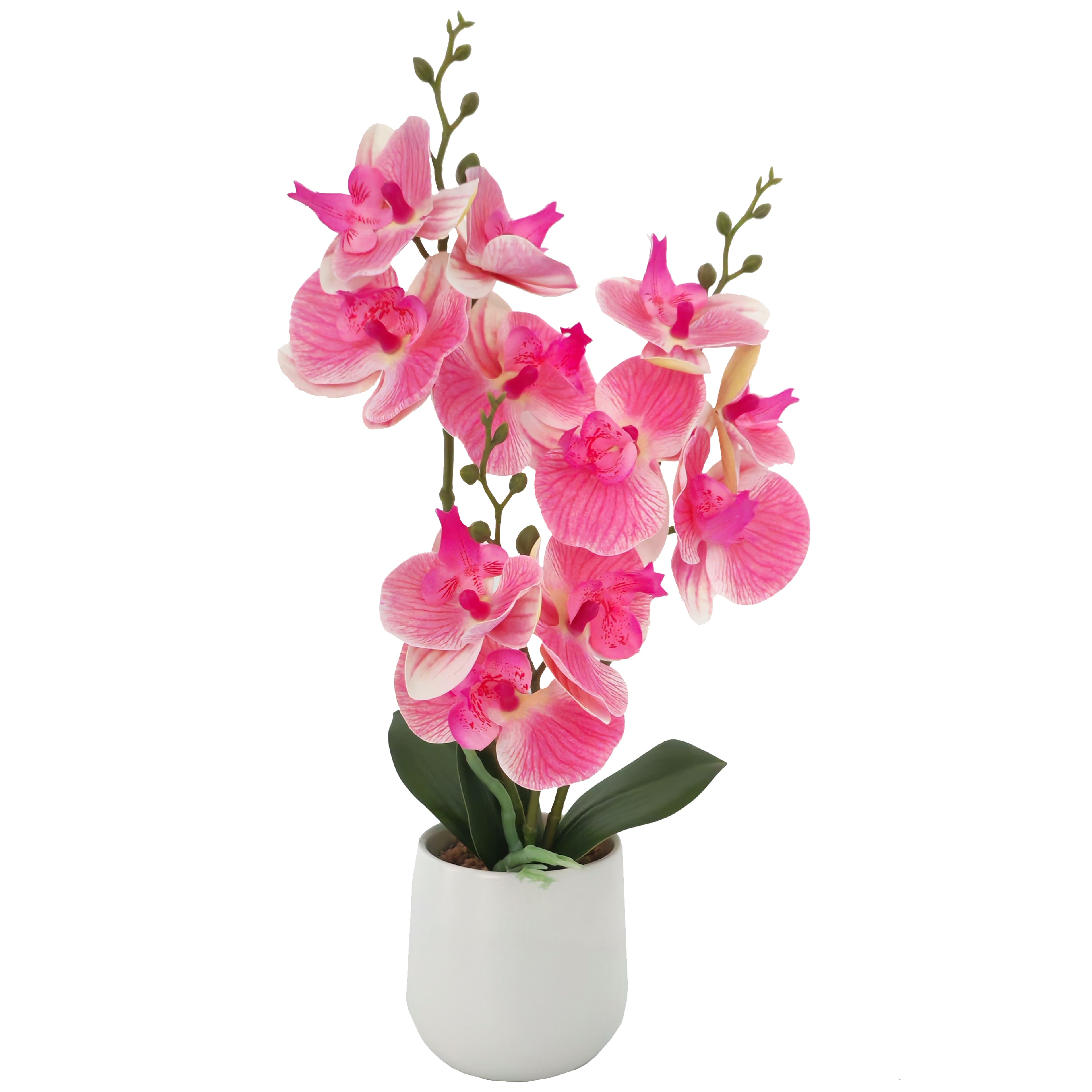 16" Dark Pink & White Orchid in Ceramic Pot by Ashland®