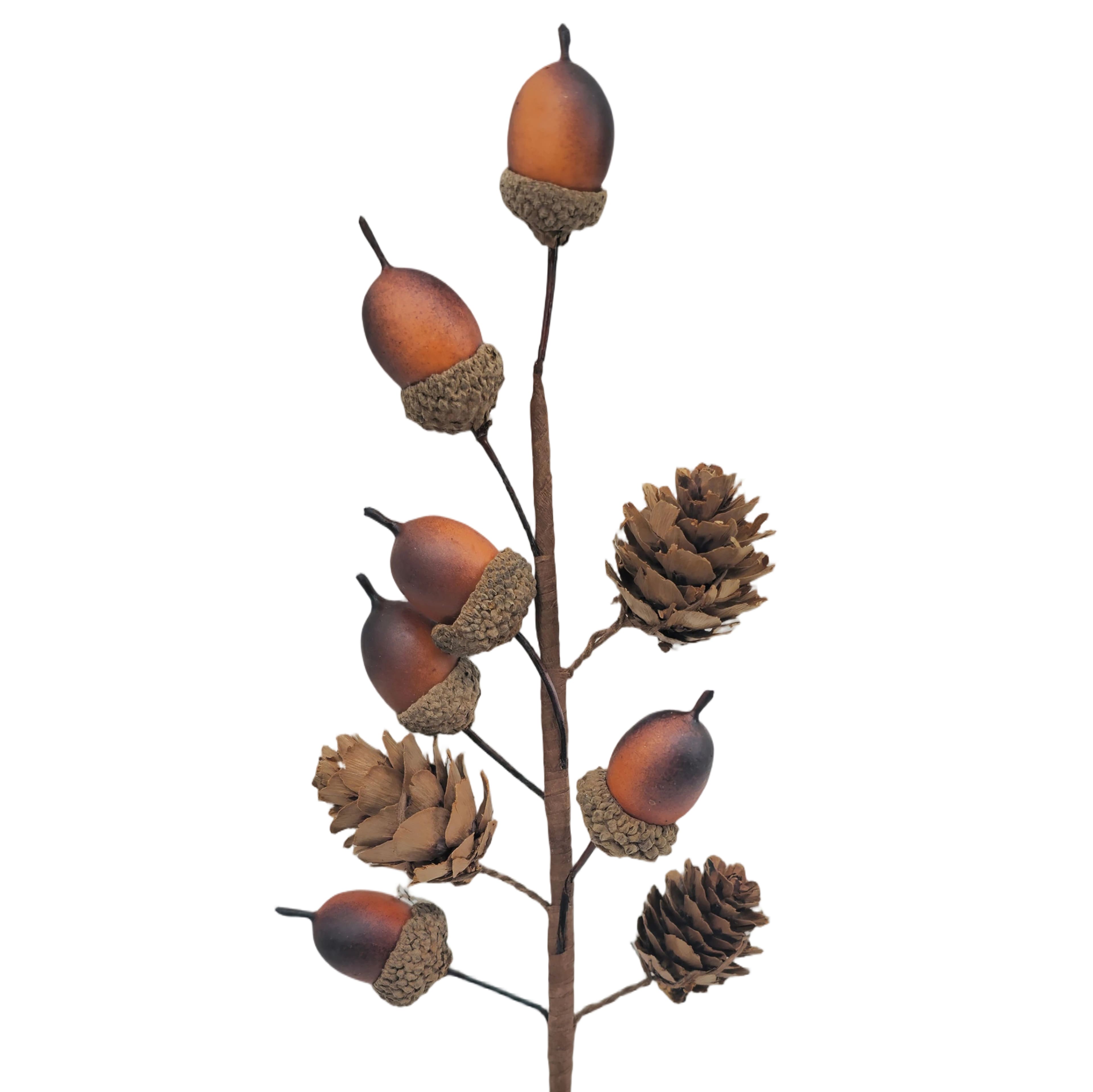 12" Acorn Pick by Ashland®