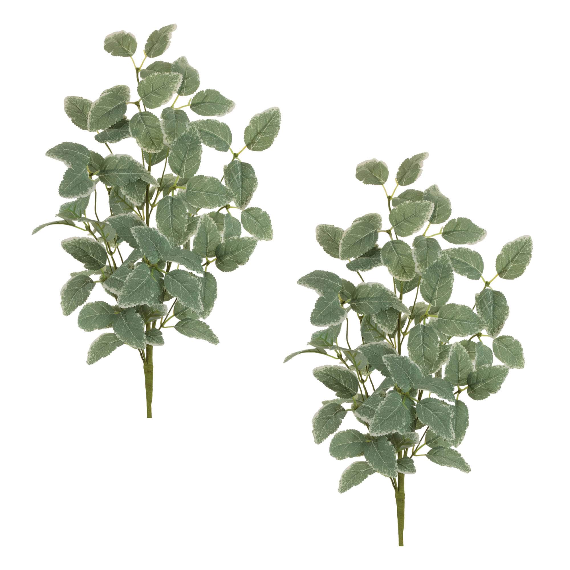 27.25" Green Variegated Foliage Sprays, 2ct. By Melrose | Michaels®