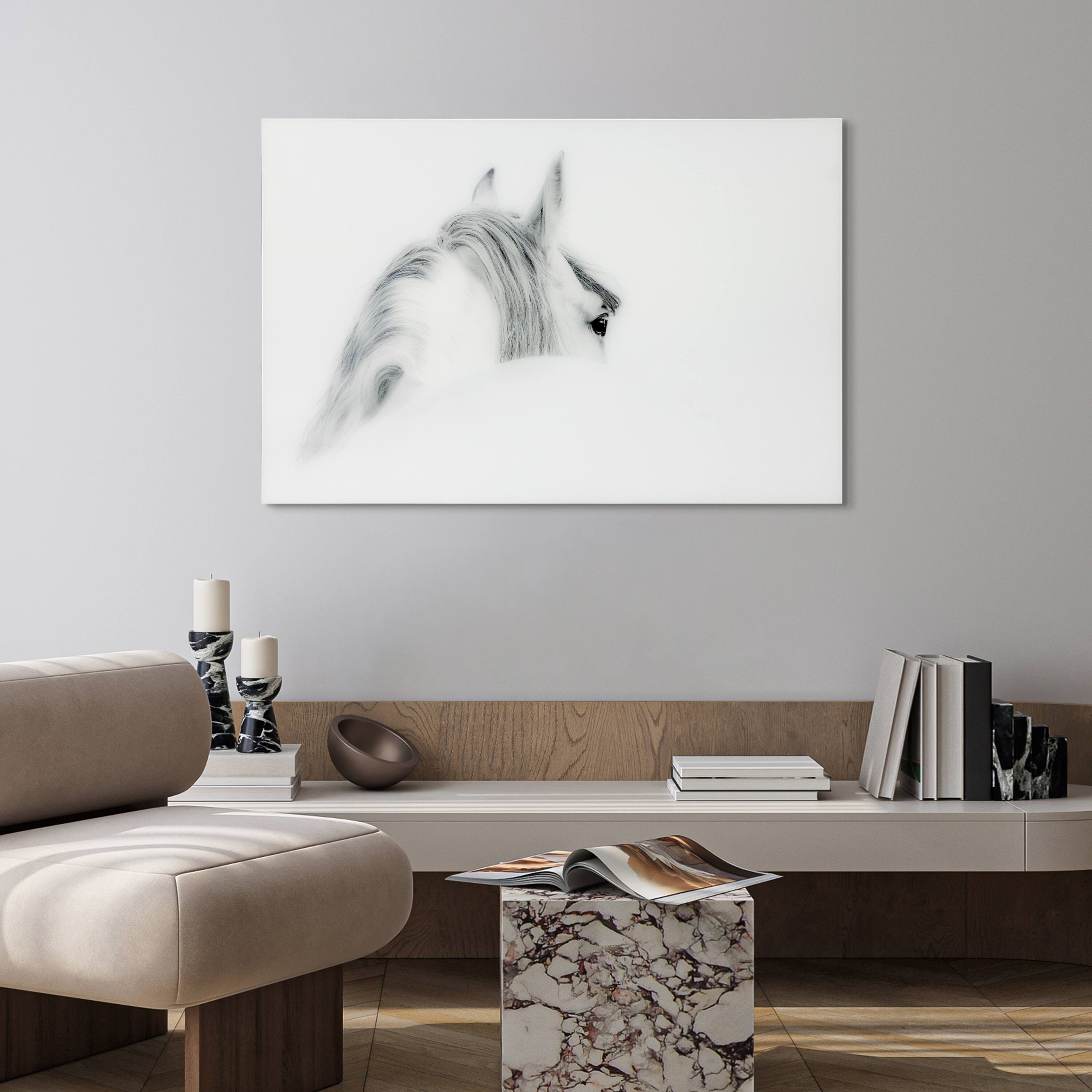 Empire Art Direct Vetro De Arte 48" x 32" Blanco Mare Horse Frameless Free Floating Printed Tempered Glass Wall Art