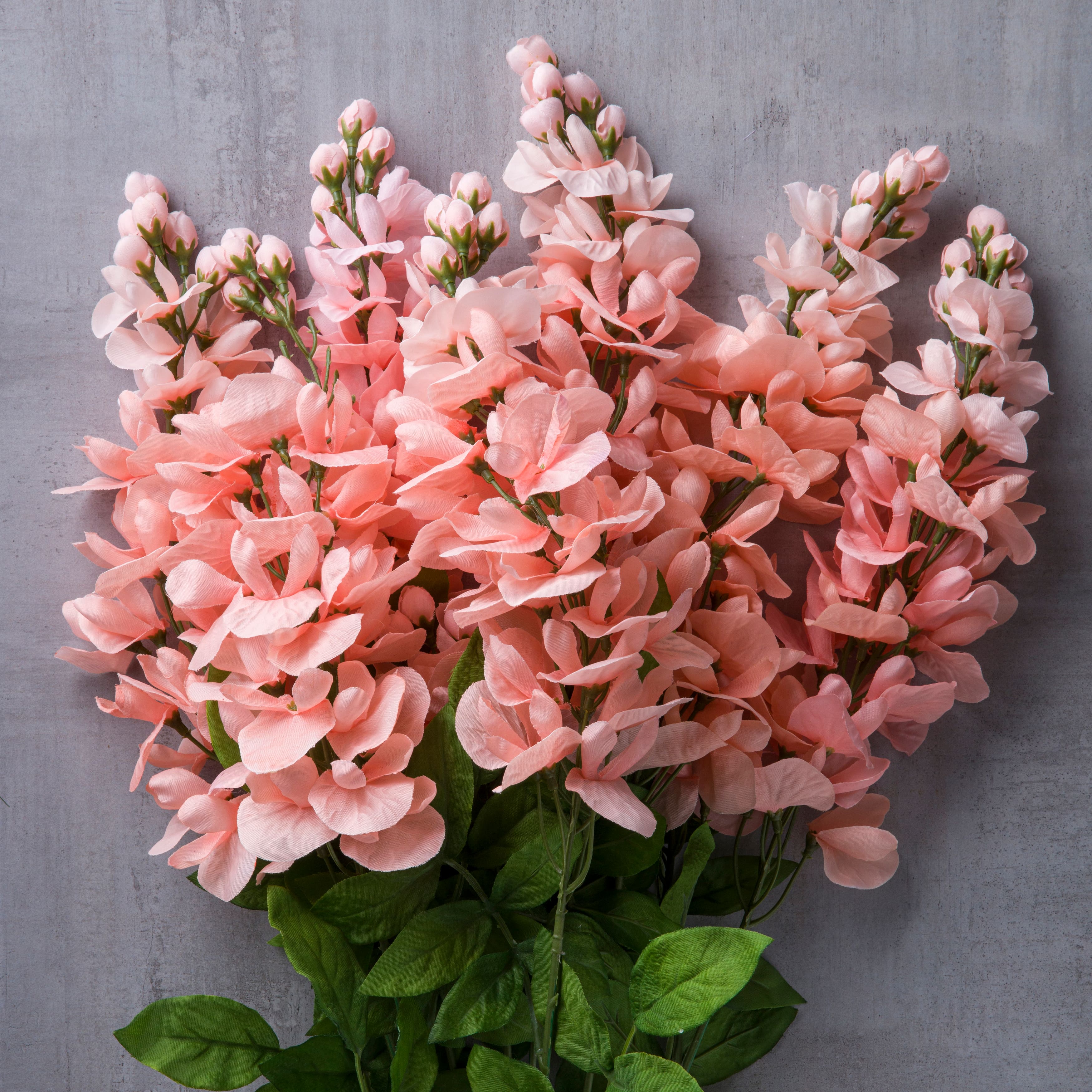 8 Pack: Coral Wisteria Bush by Ashland®