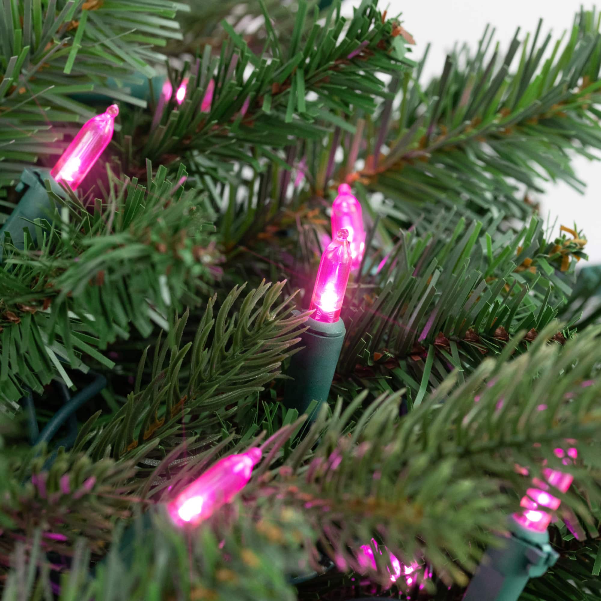 50ct. LED Mini Christmas String Lights with Green Wire