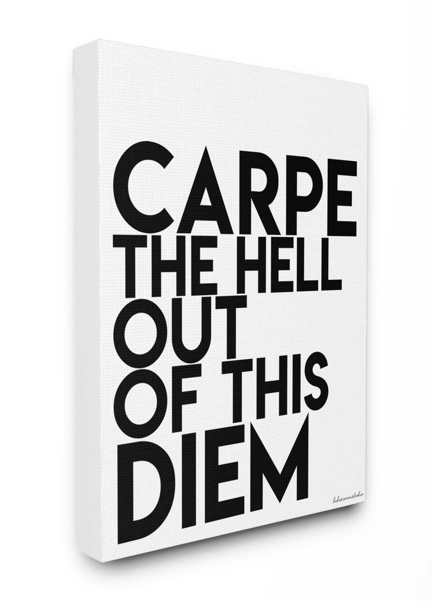 Stupell Industries LulusimonStudio Carpe Diem Canvas Wall Art