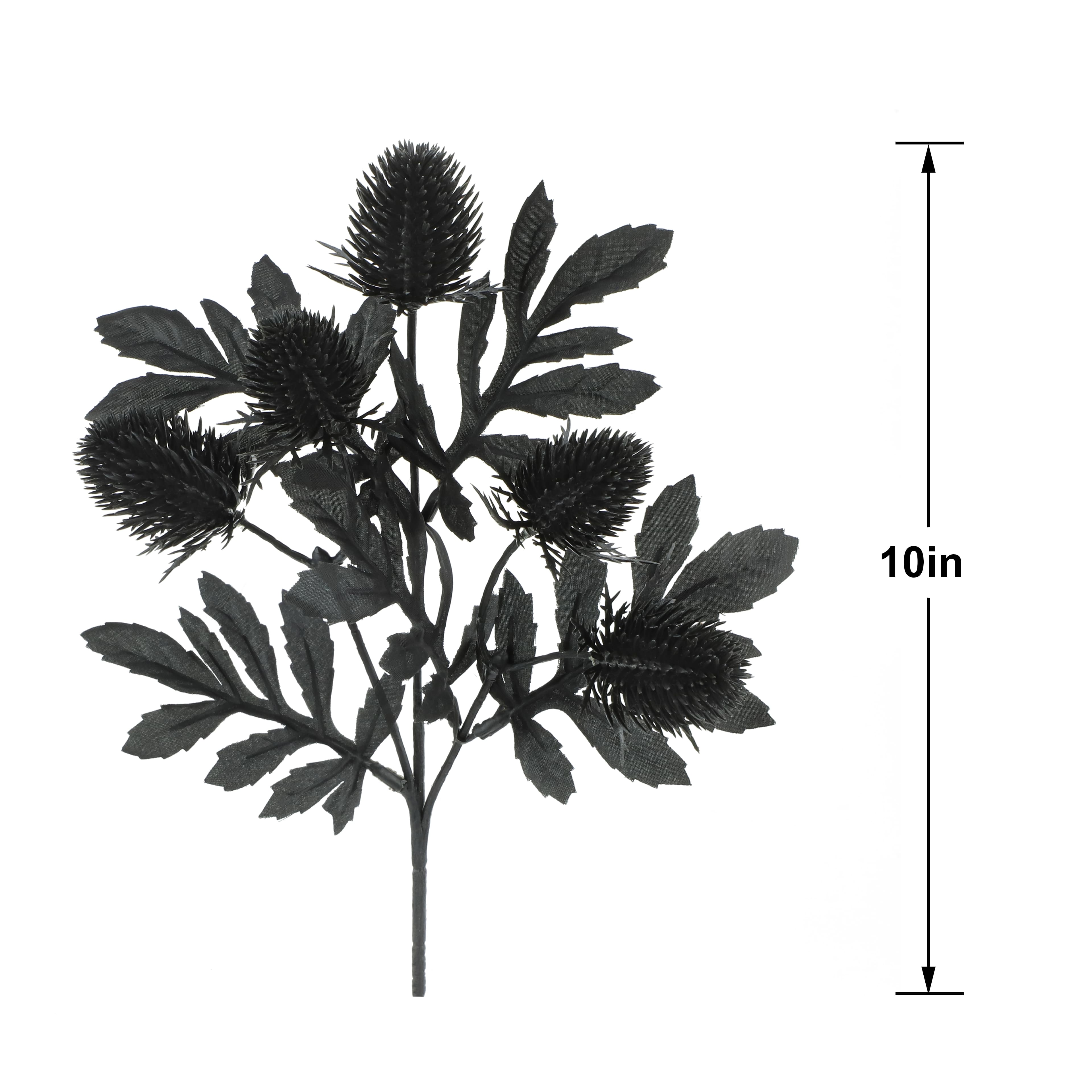 10" Black Thistle Pick by Ashland®