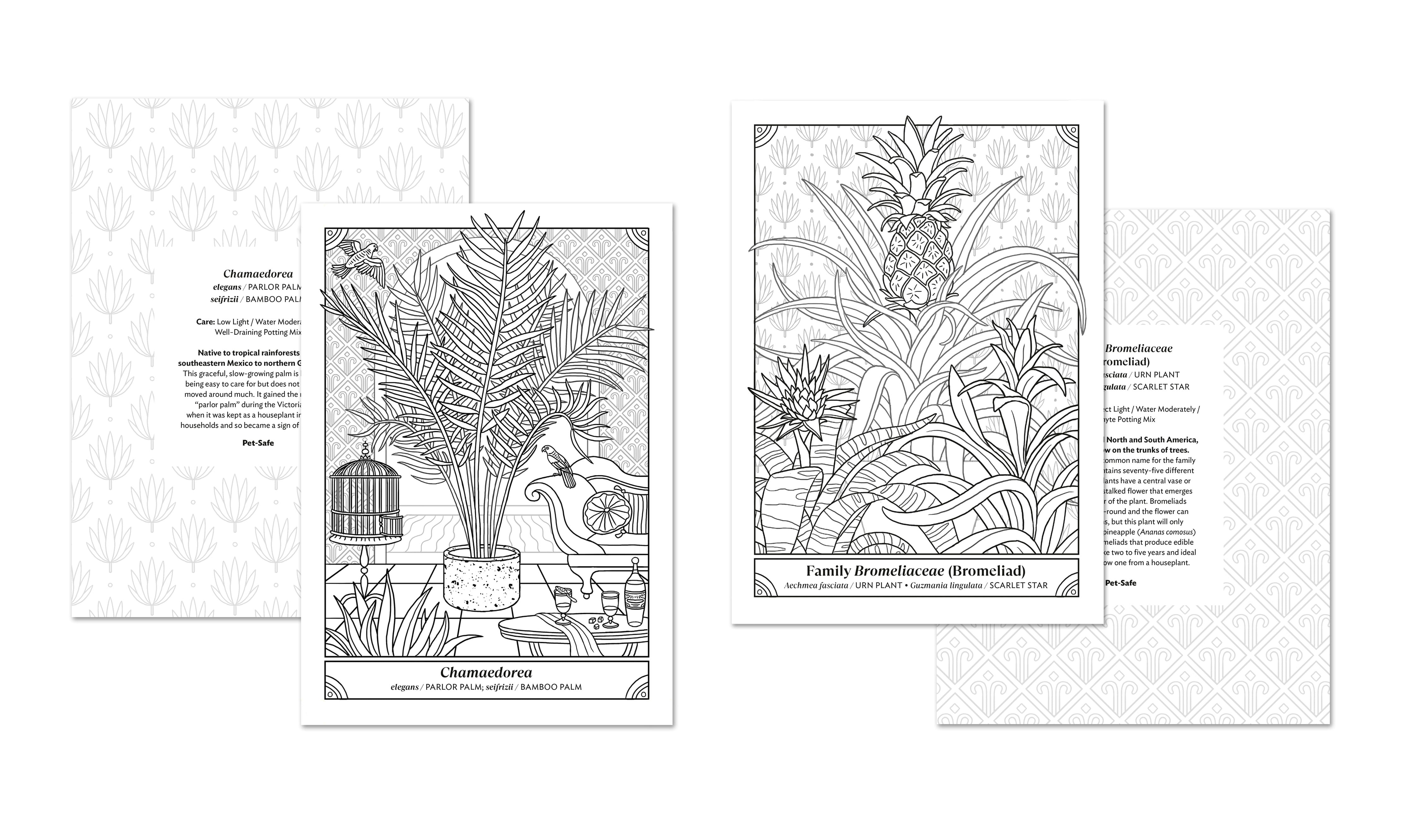 The Happy Houseplant Coloring Book: 50 Plants to Color & Care For