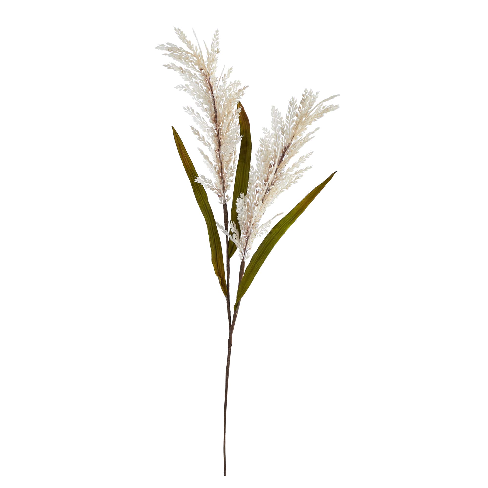 30" Cream Sorghum Harvest Spray, 12ct.