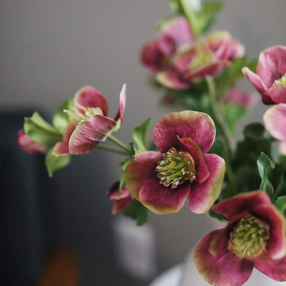Prestige Botanicals 18" Artificial Real Touch Mauve Pink Hellebore Stem