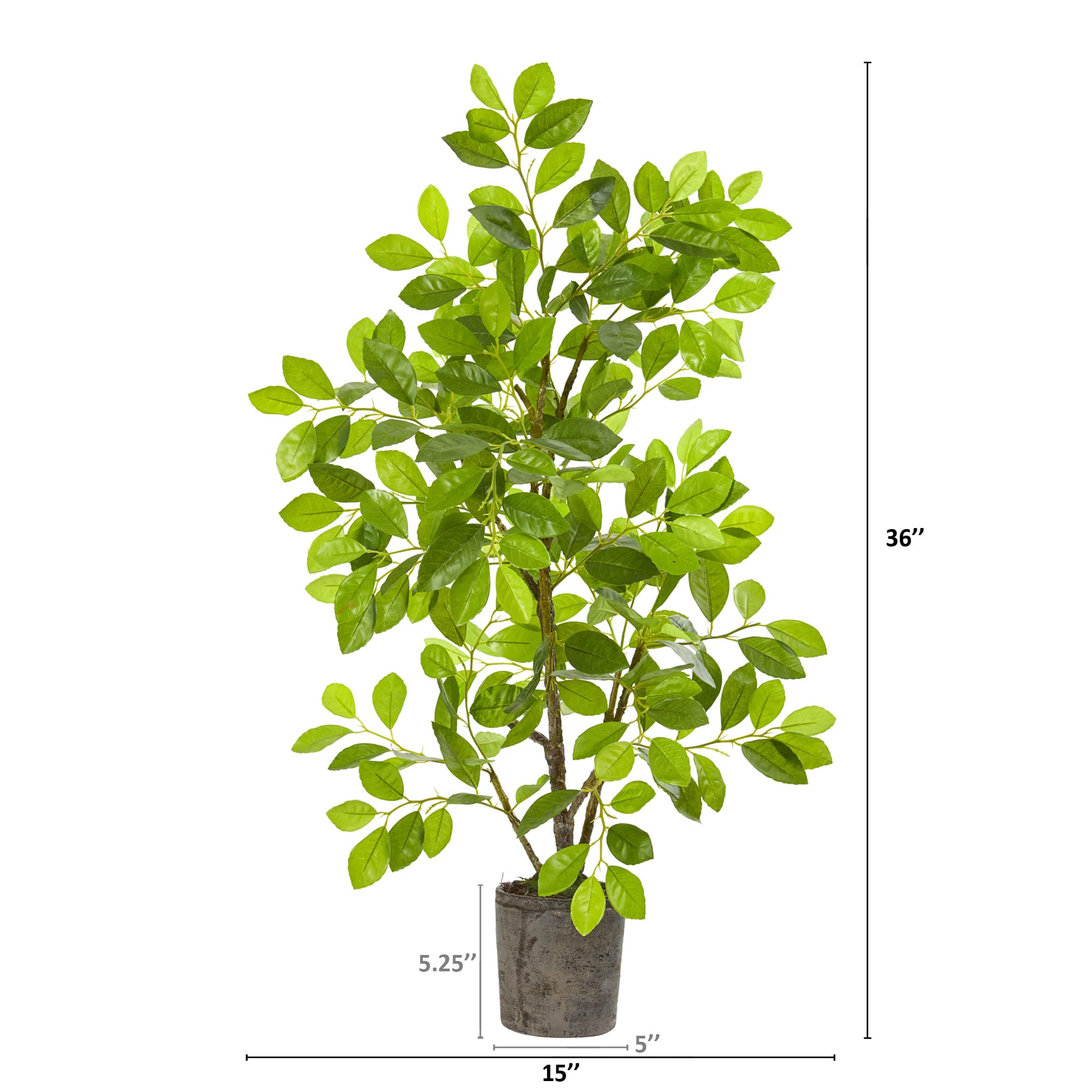 3ft. Ficus Tree in Faux Concrete Planter