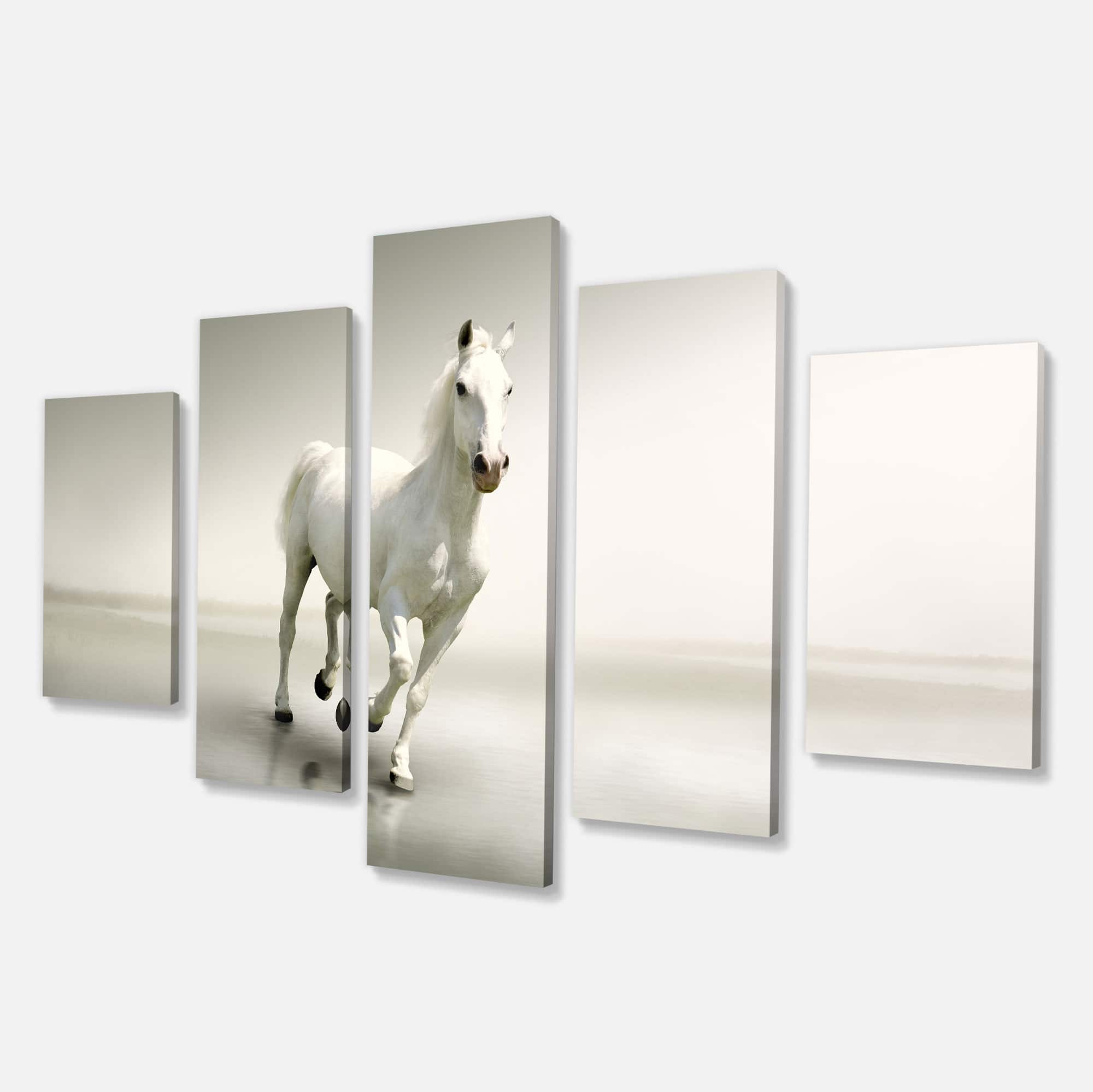 Designart - Beautiful White Horse Running - Animal Canvas Art Print