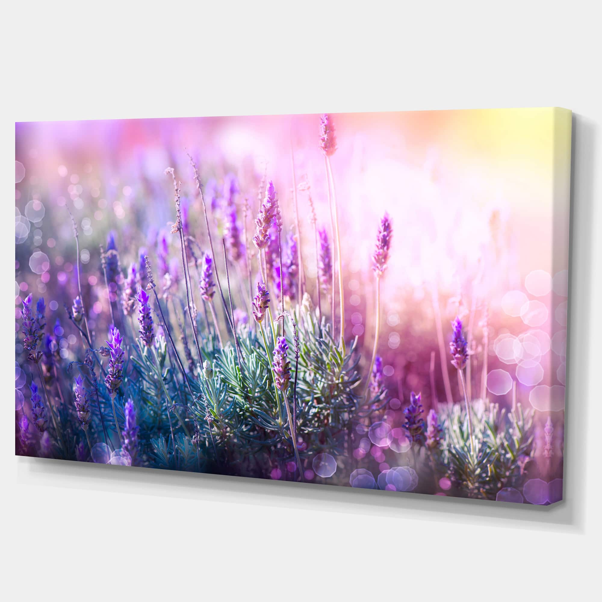 Designart - Growing and Blooming Lavender - Floral Canvas Art print