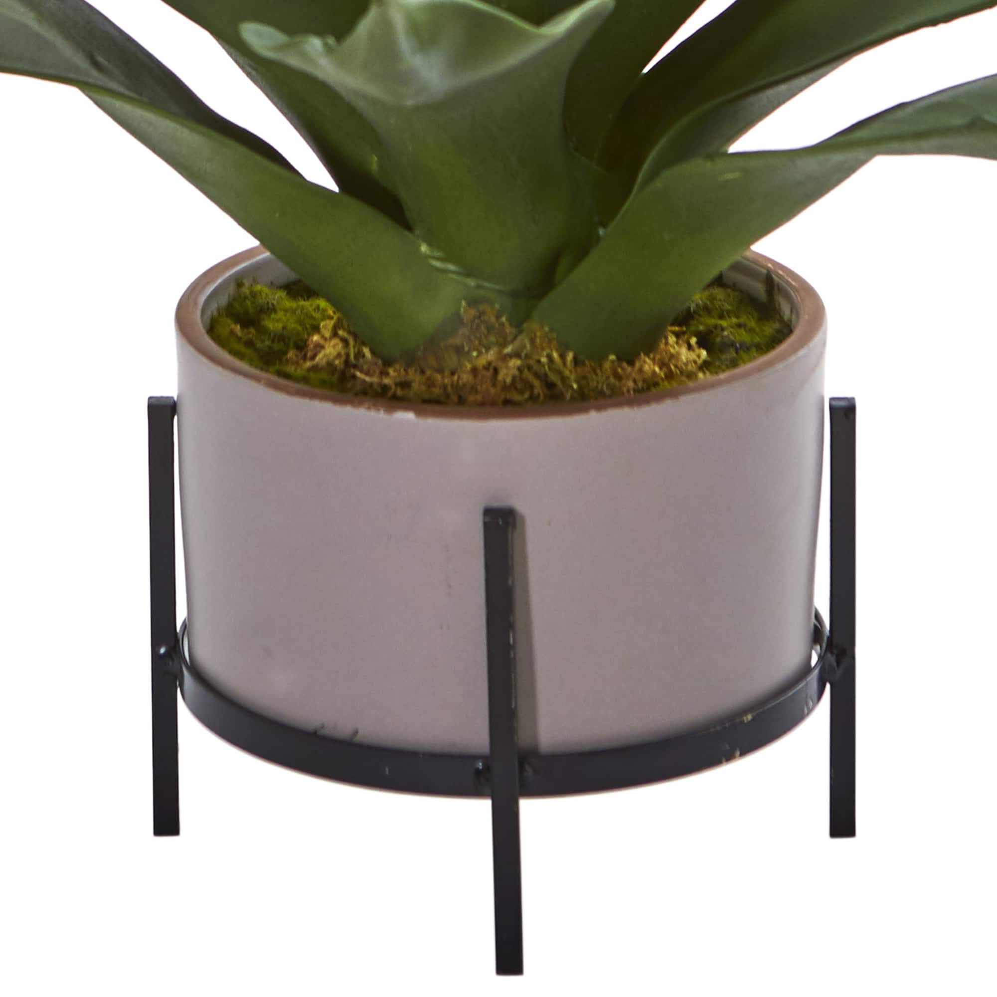 14" Agave Succulent in Decorative Planter
