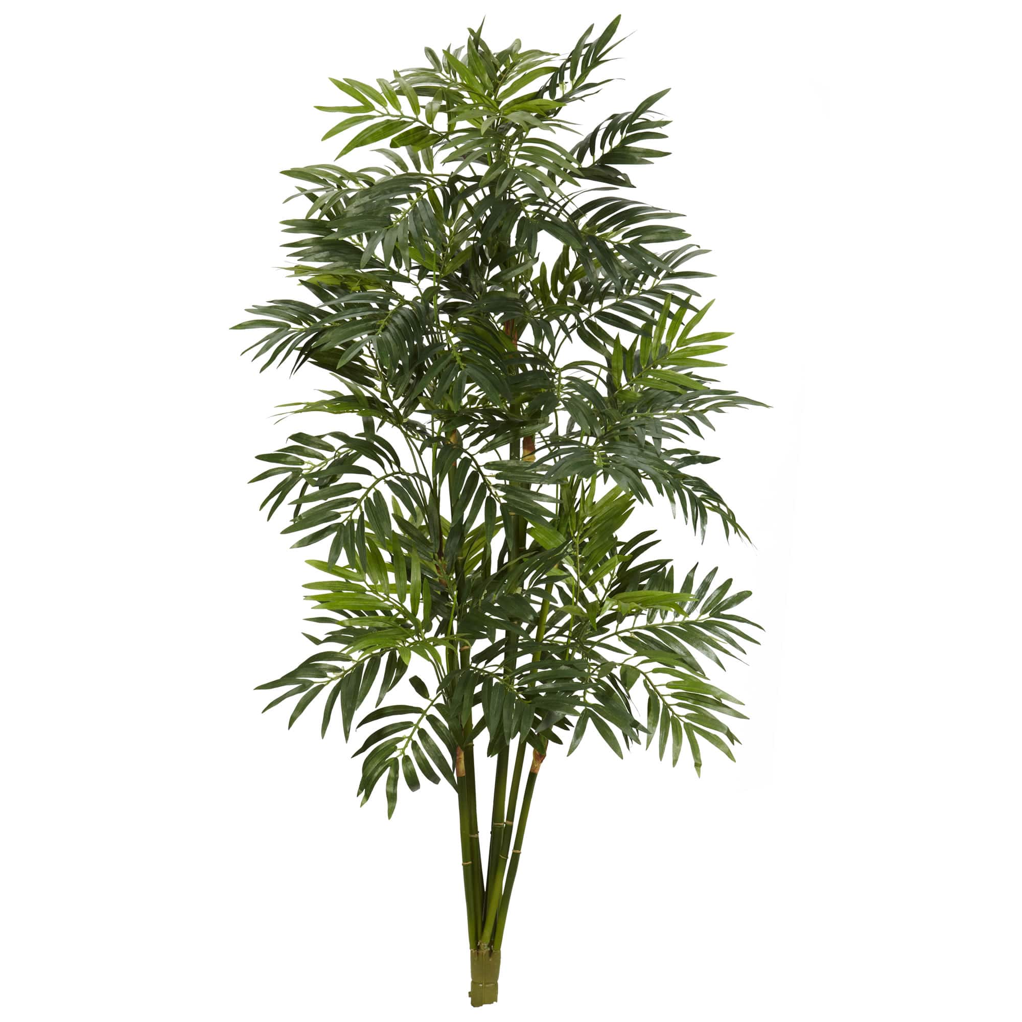 3ft. Mini Bamboo Palm Tree