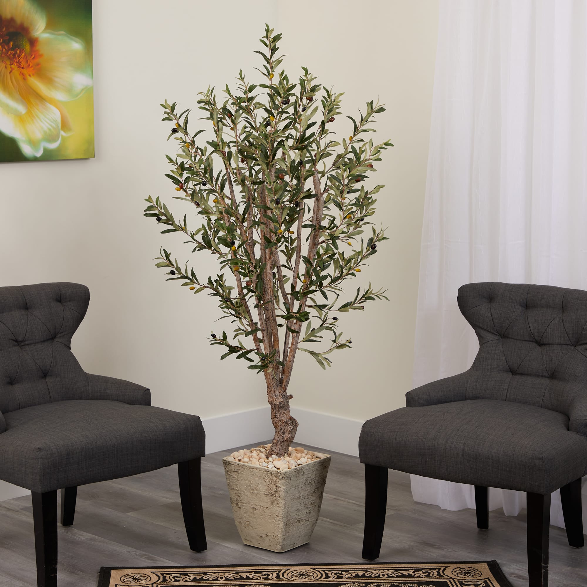 5ft. Olive Tree in Country White Planter