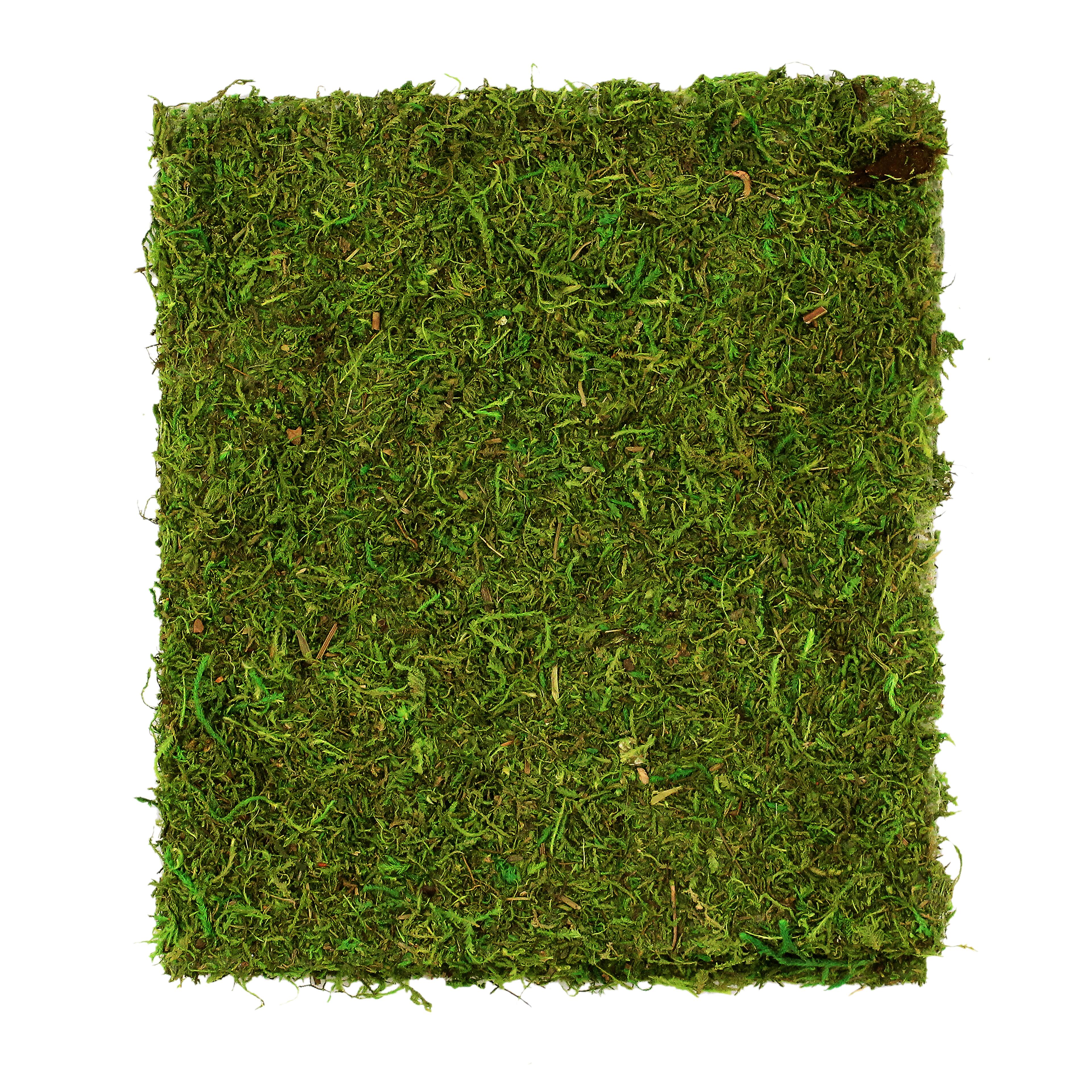12 Pack: Moss Mat by Ashland®