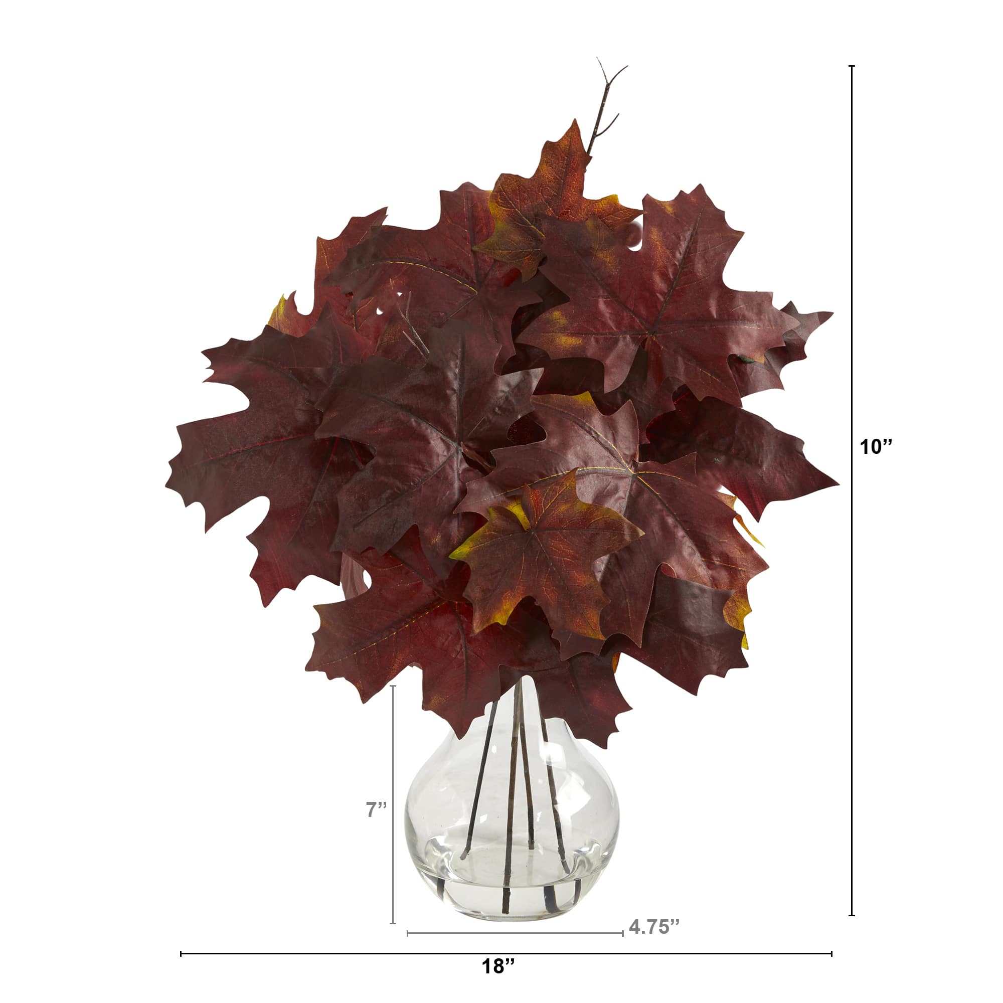 10" Autumn Maple Leaf Plant in Glass Planter