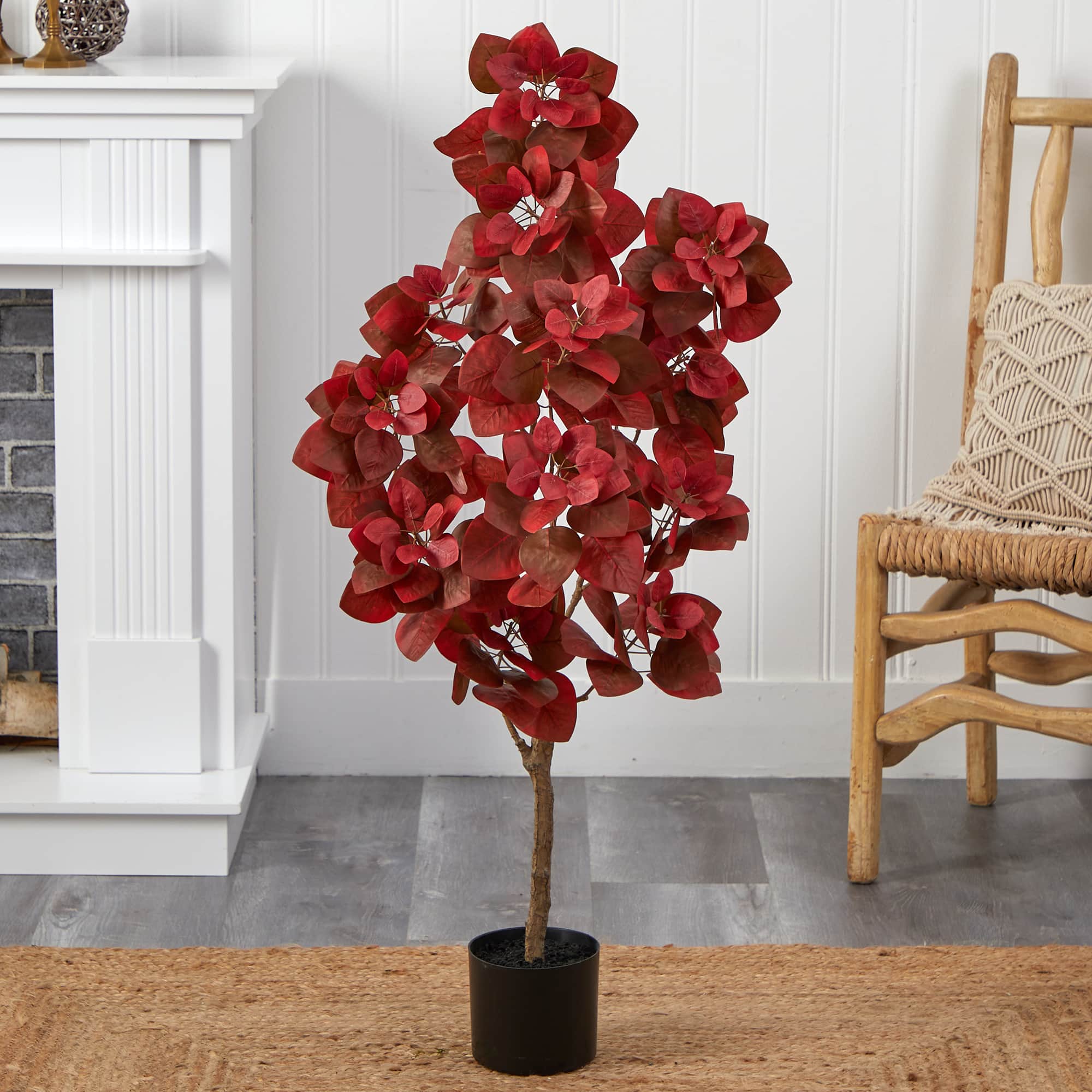 4ft. Potted Autumn Pomegranate Tree