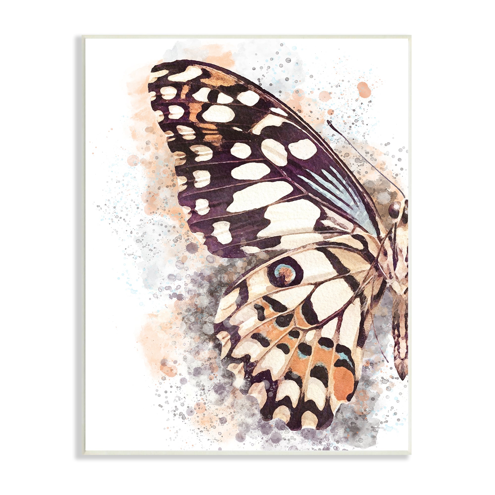 Stupell Industries Close Up Butterfly Patterned Wing Paint Splatter Wall Plaque
