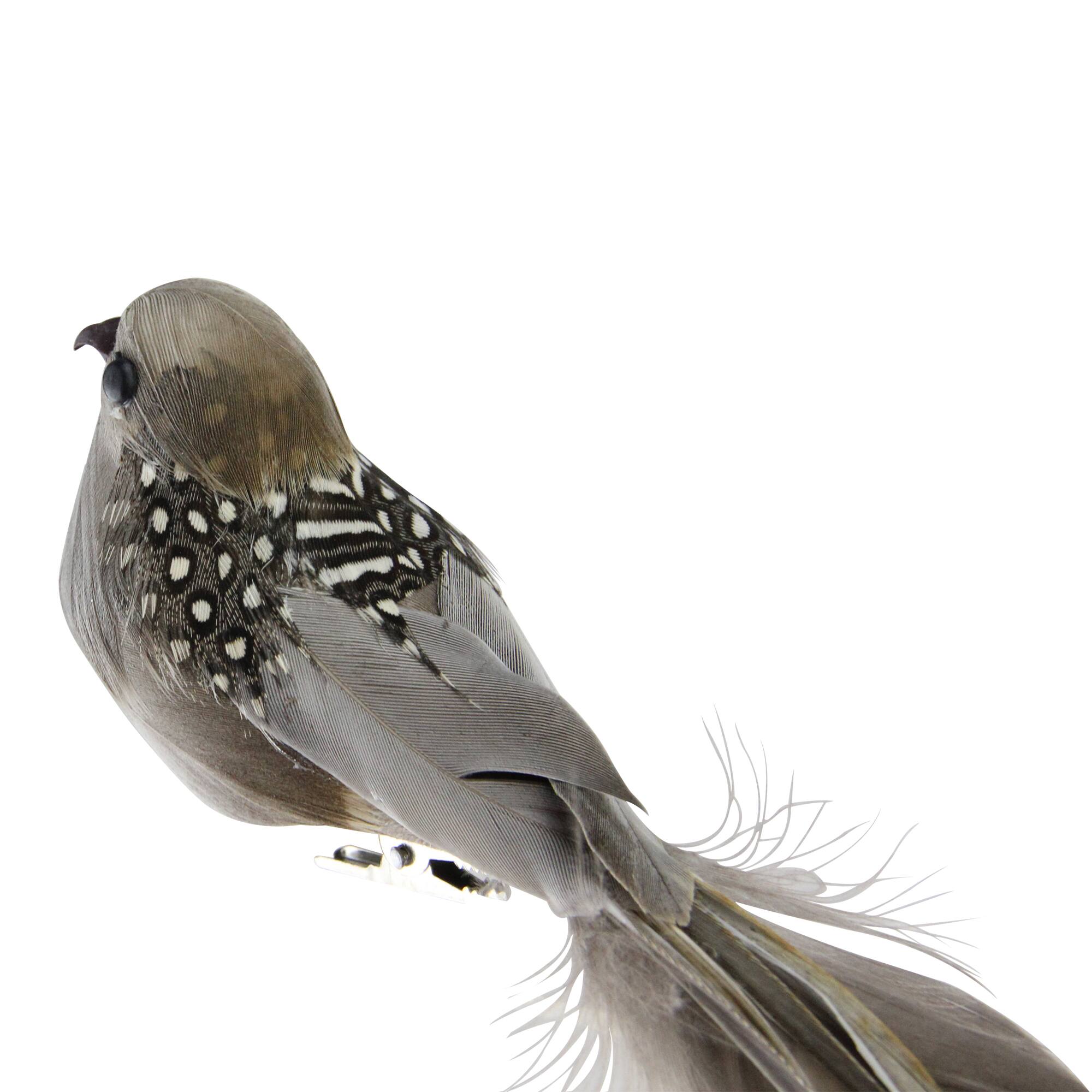 24" Brown & Gray Clip-On Bird Ornament