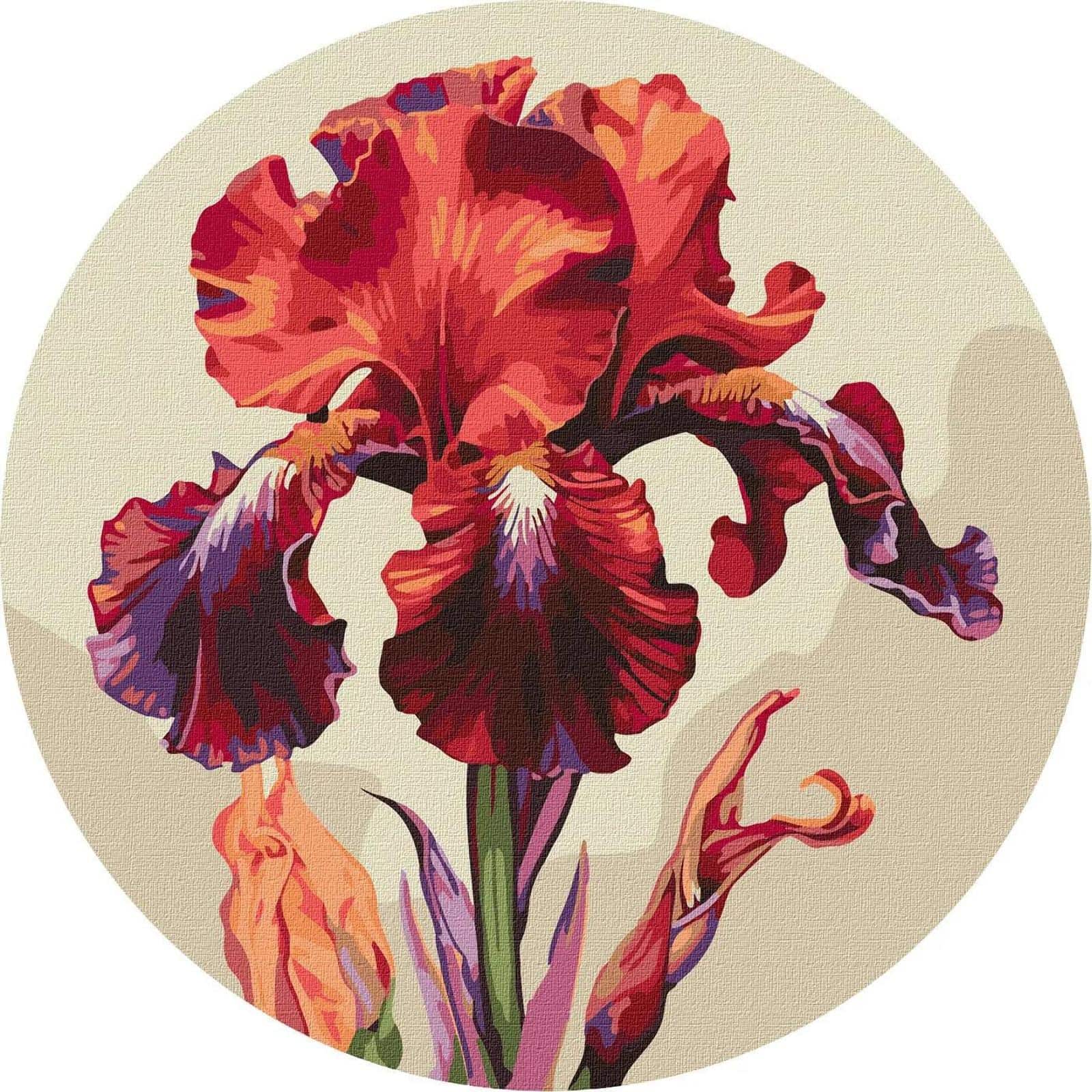 Ideyka Magic Iris Painting by Numbers Kit