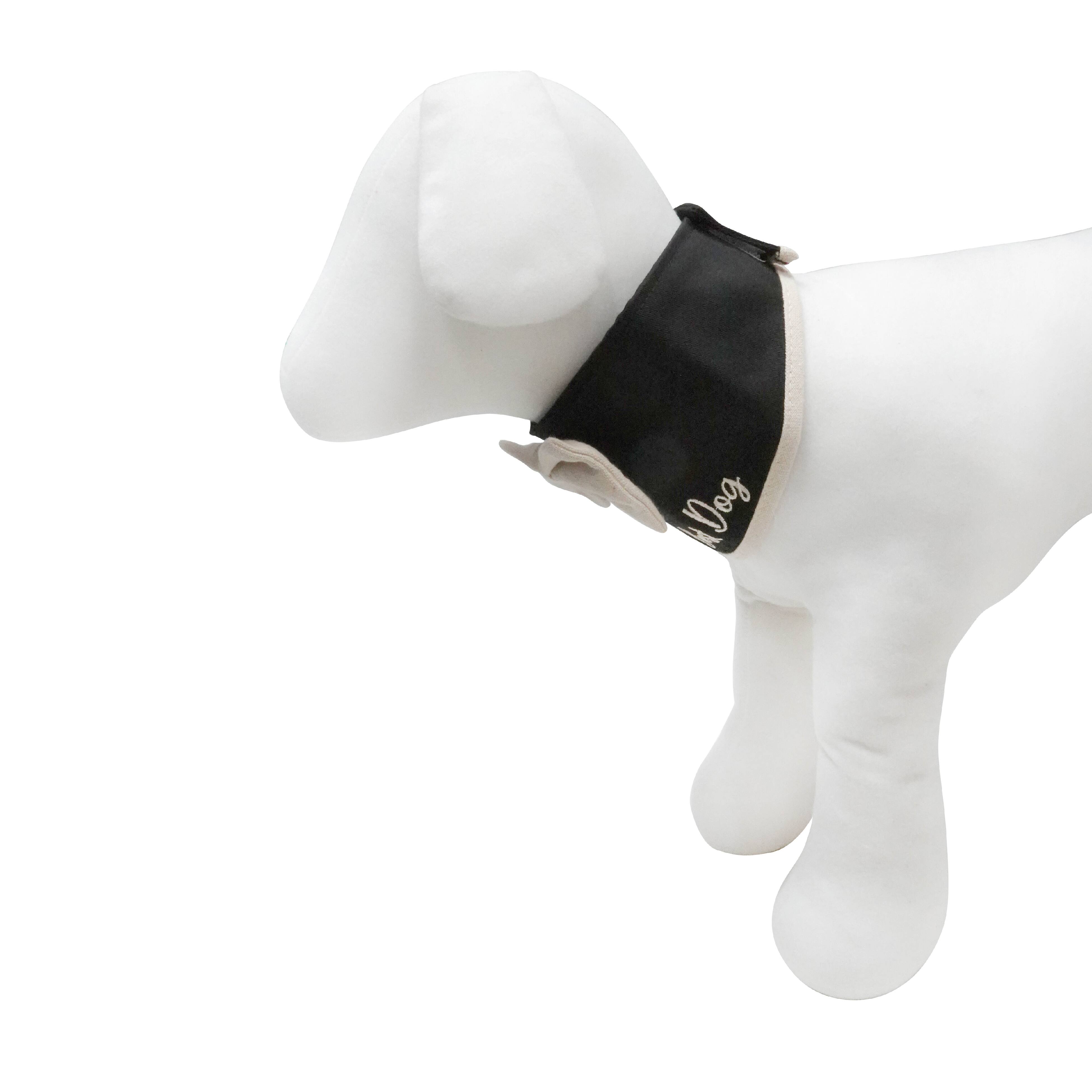 Best Furry Friends Bowtie Dog Collar