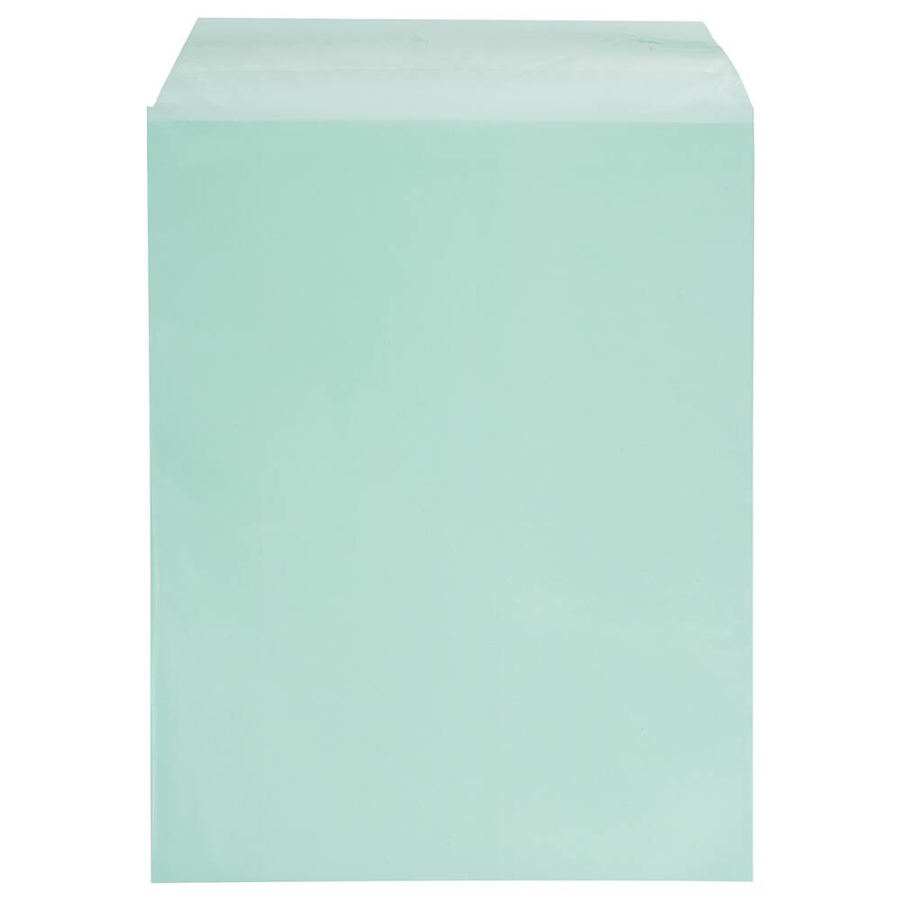 JAM Paper 8.93" x 11.25" Self Adhesive Closure Cello Sleeves, 100ct.