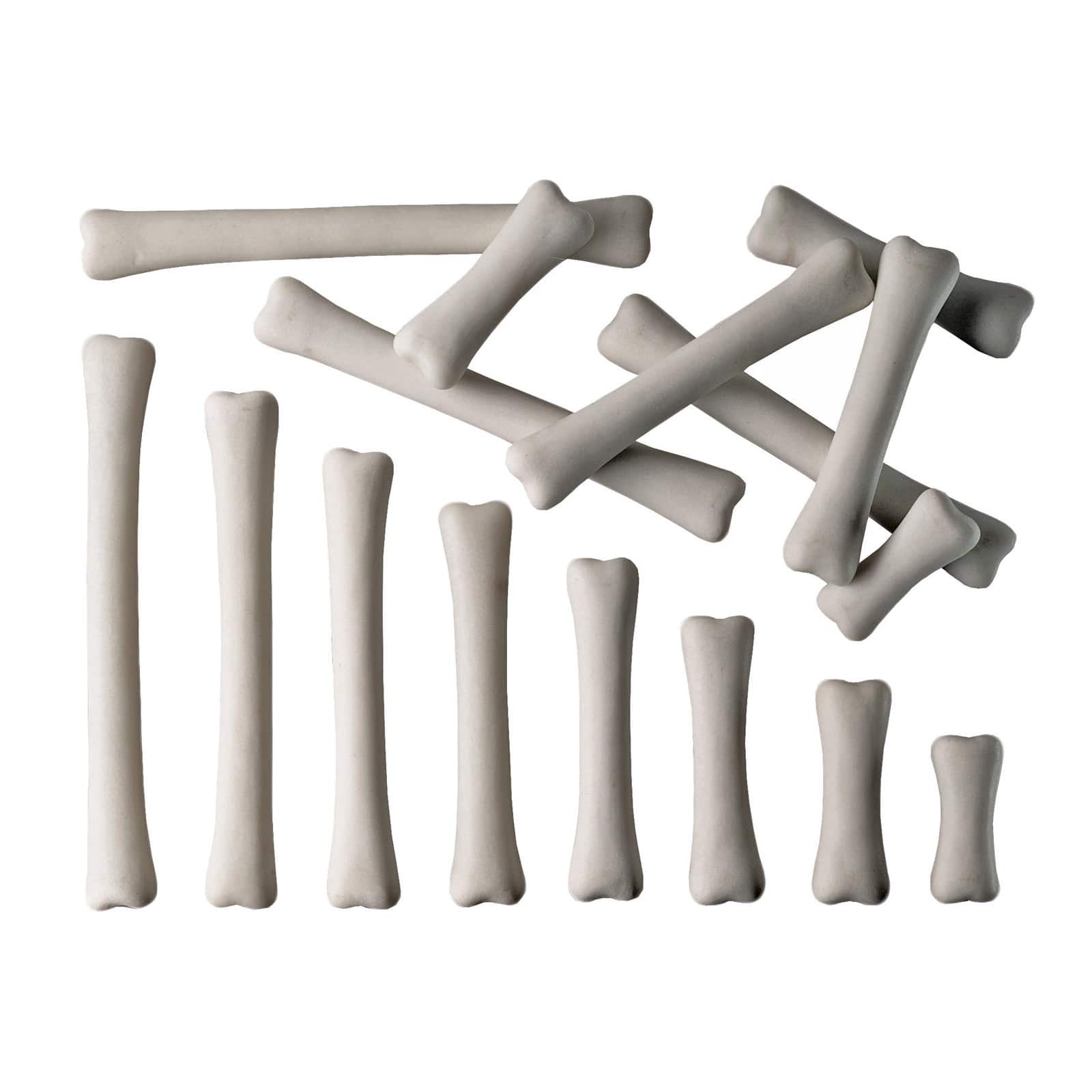 Yellow Door Dinosaur Bones Match & Measure Set