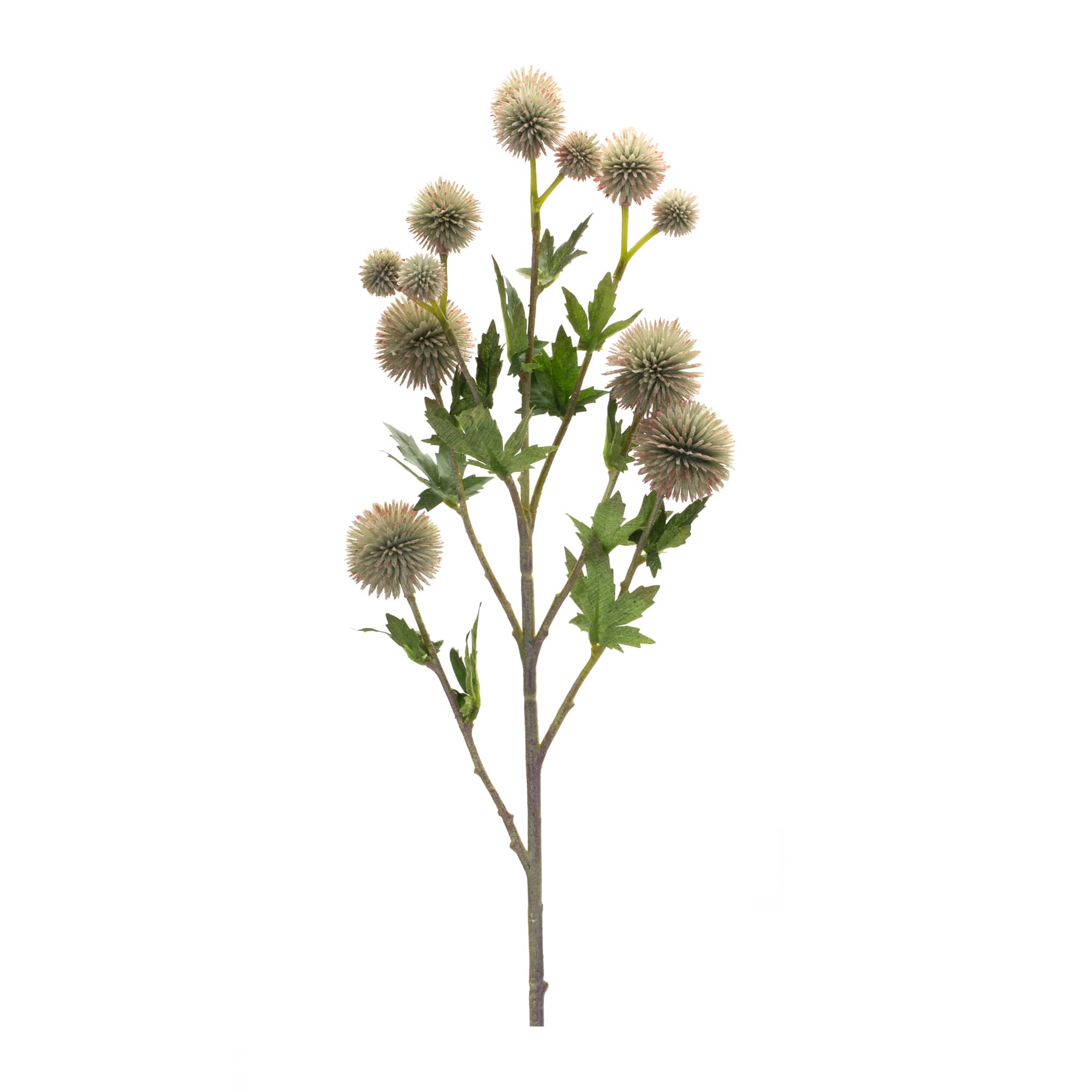 Sage Allium Spray, 6ct.