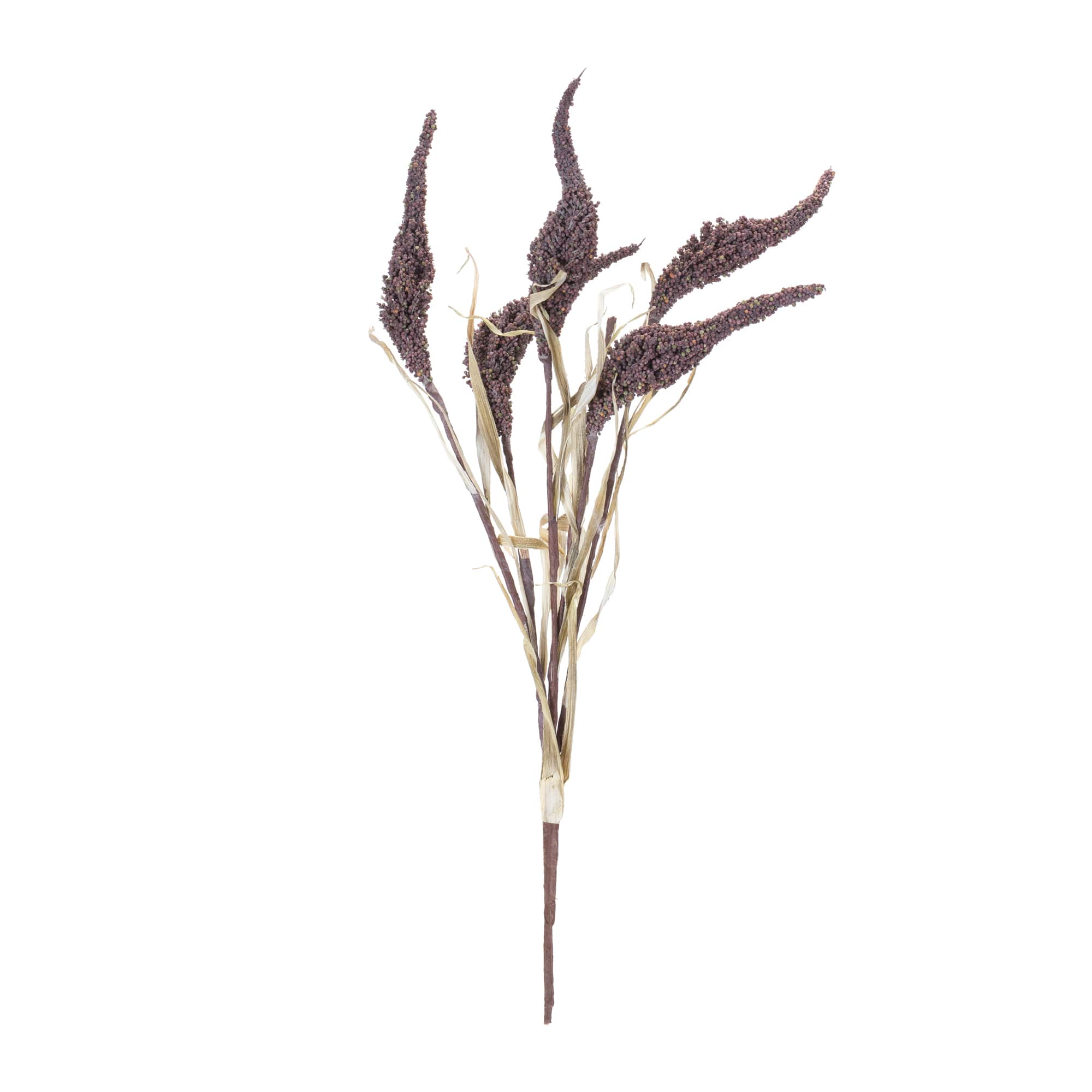 Seeded Harvest Bush, 12ct.