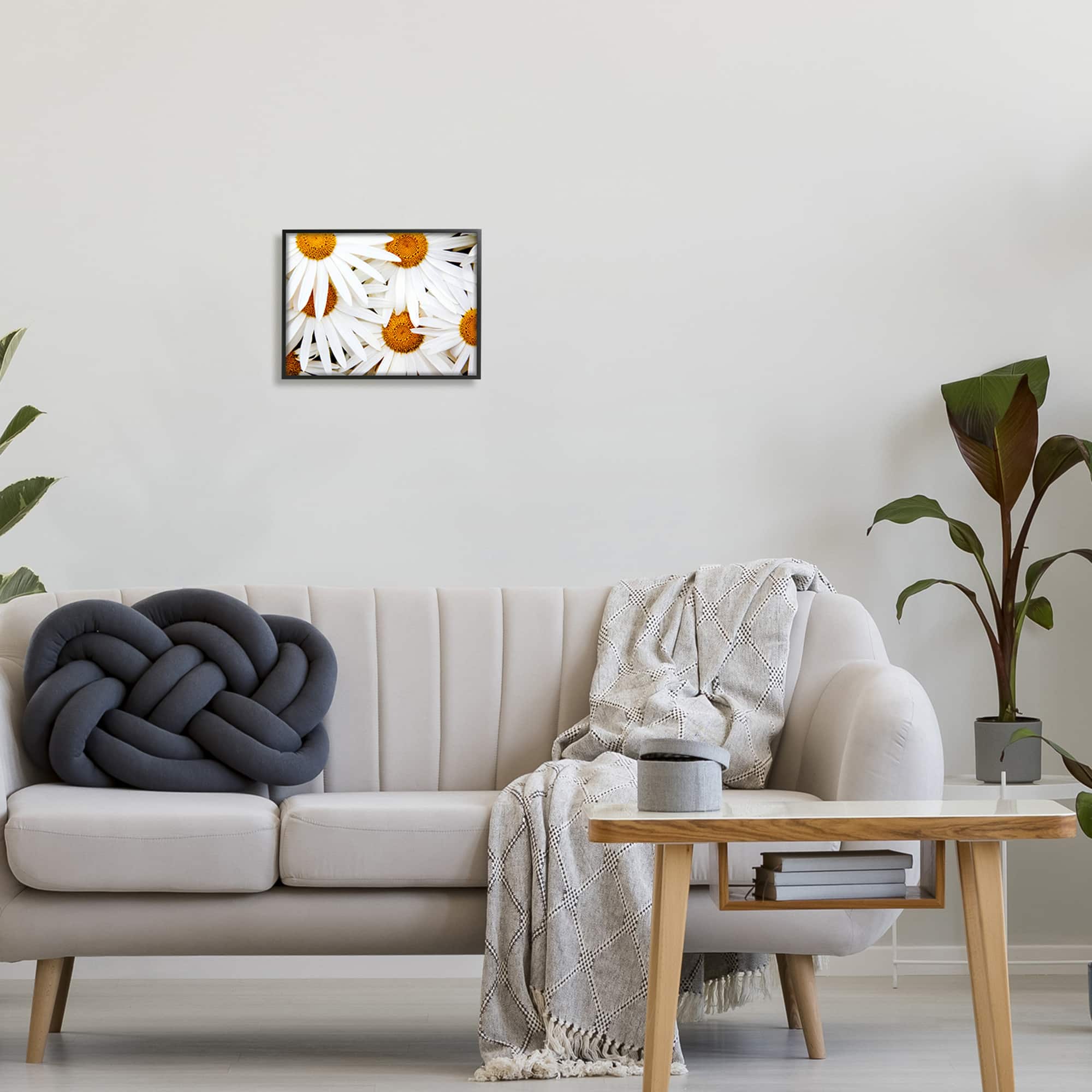 Stupell Industries Blooming Daisy Florals White Petals Flower Field Photography Framed Wall Art