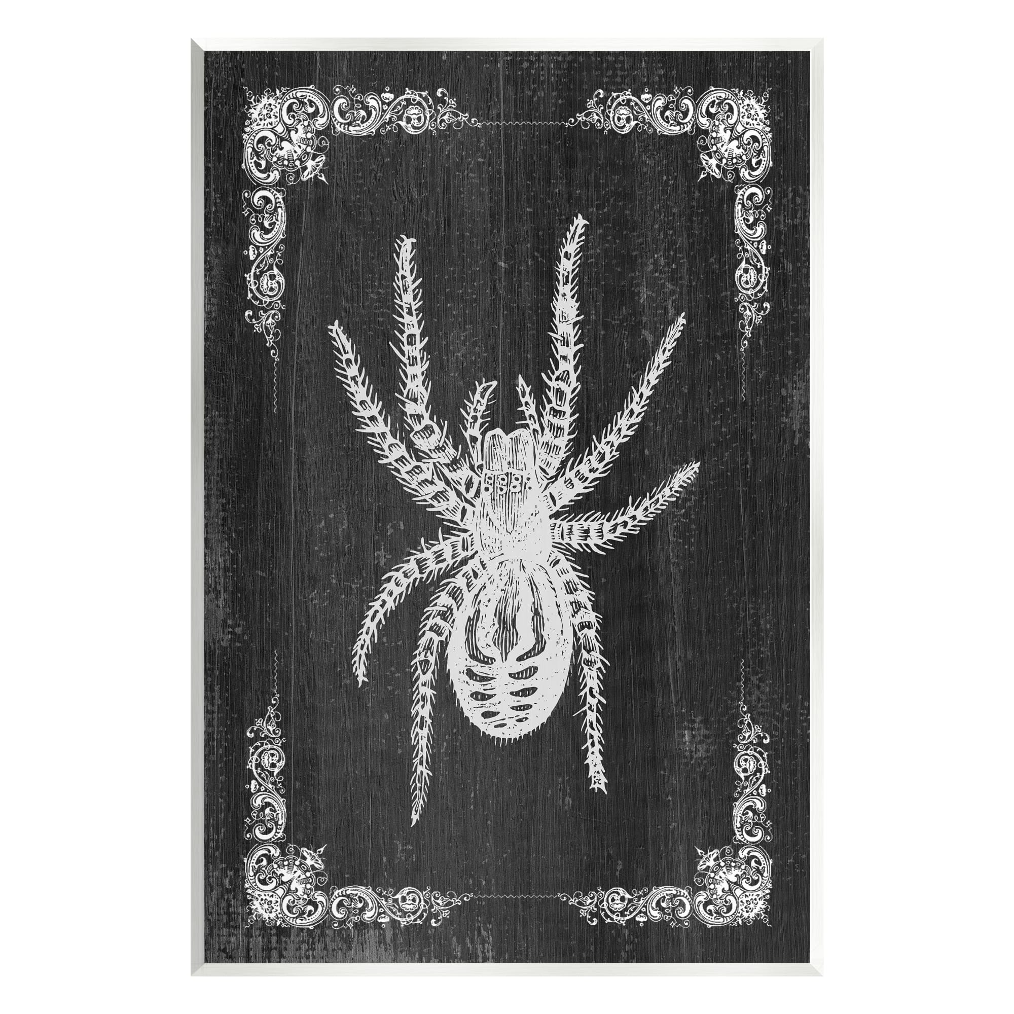 Stupell Industries Black & White Spider Wall Plaque Art