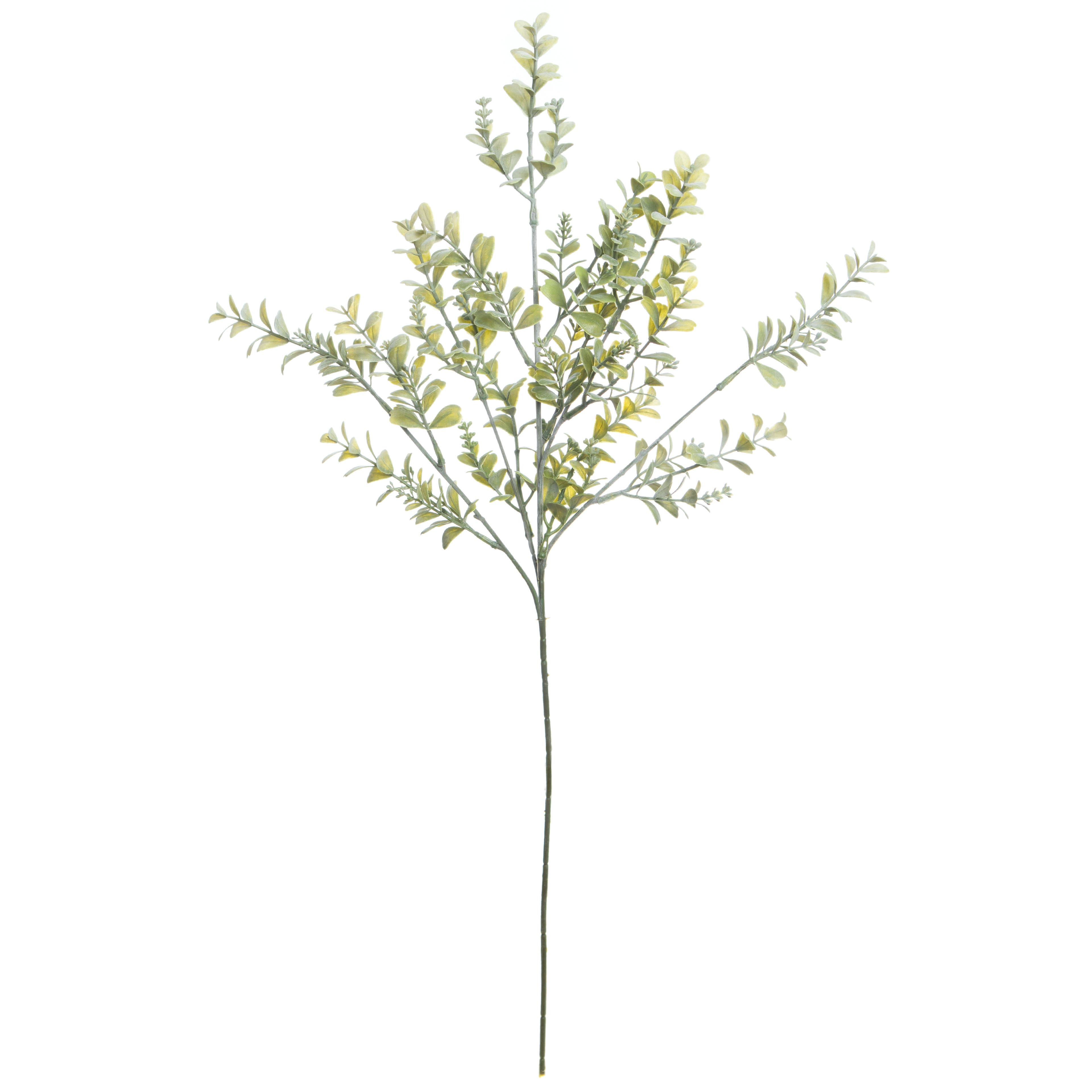 27" Light Green Boxwood Stem by Ashland®
