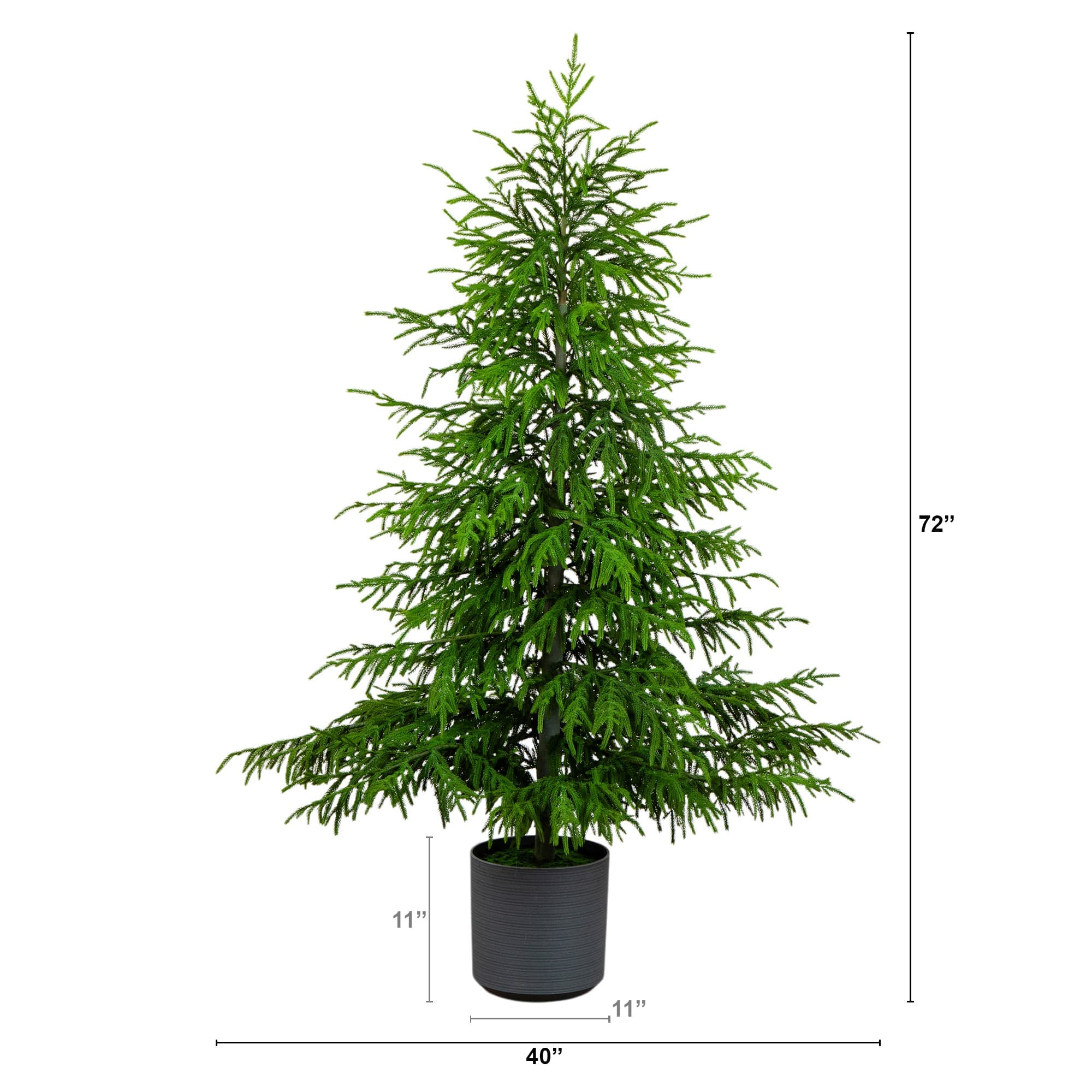 6ft. Unlit Norfolk Island Pine Real Touch Christmas Tree