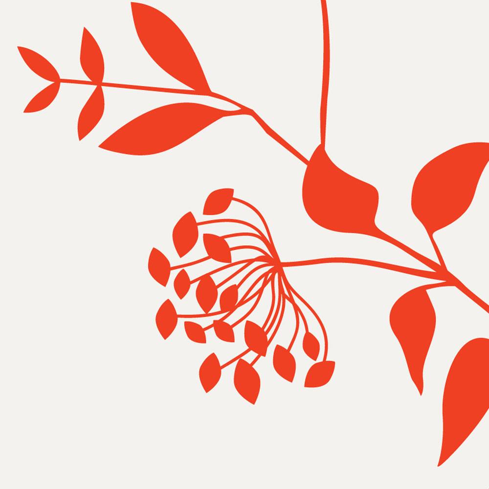 Simple Shapes Willow Bloom Branch Pre-Pasted Wallpaper Rolls, 2ct.
