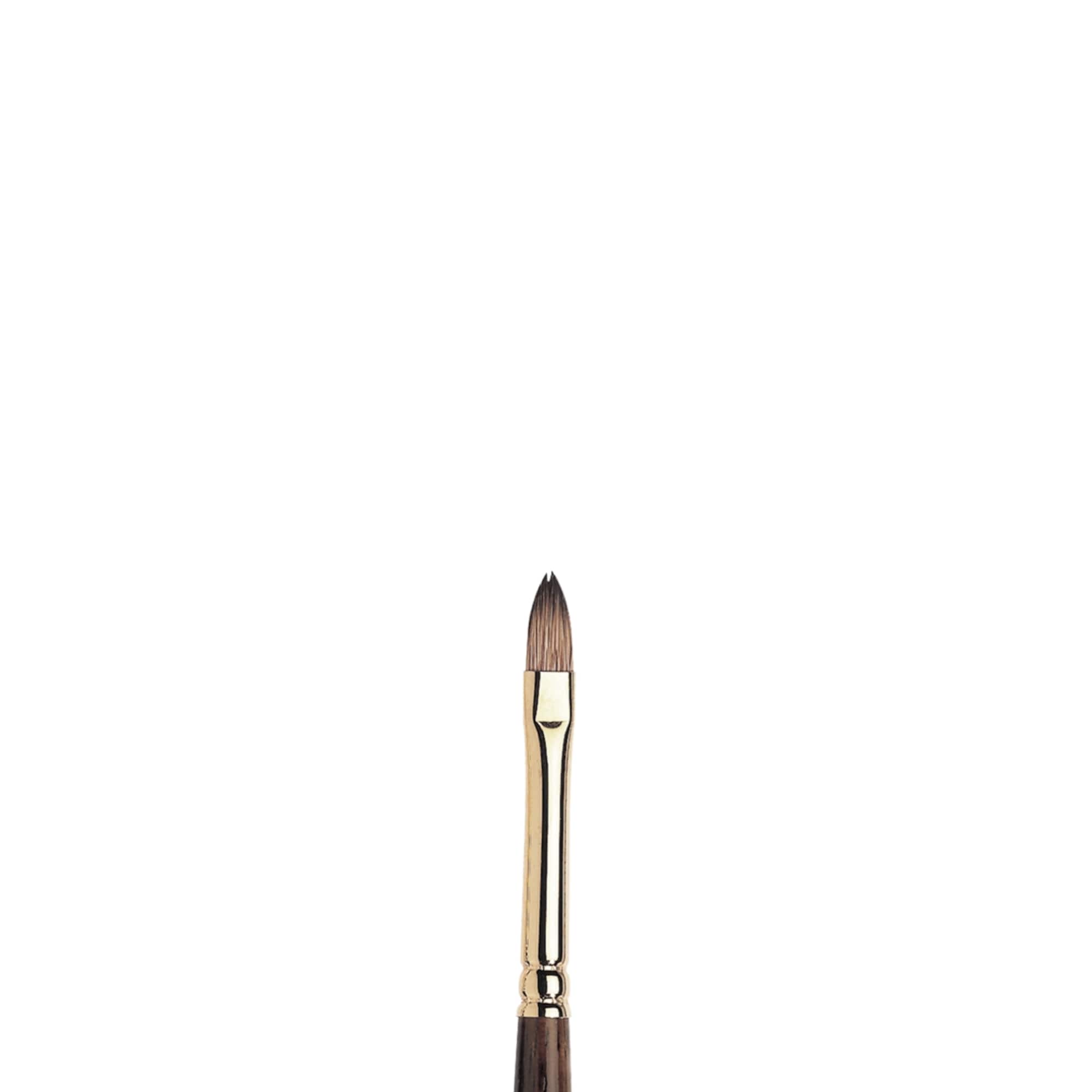 Winsor & Newton® Monarch Short Filbert Brush