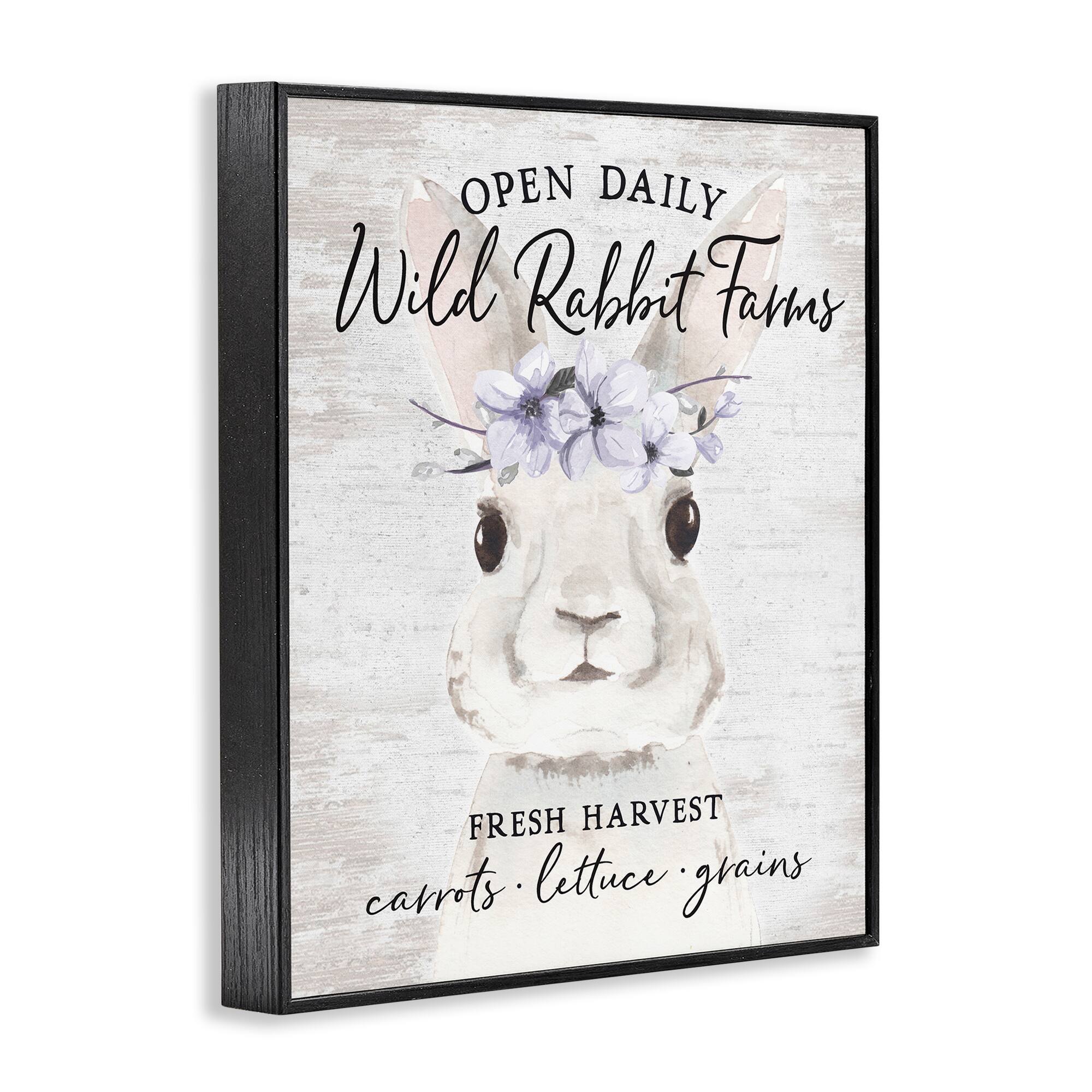 Stupell Industries Wild Rabbit Farms Weathered Floral Crown Sign Framed Giclee Art