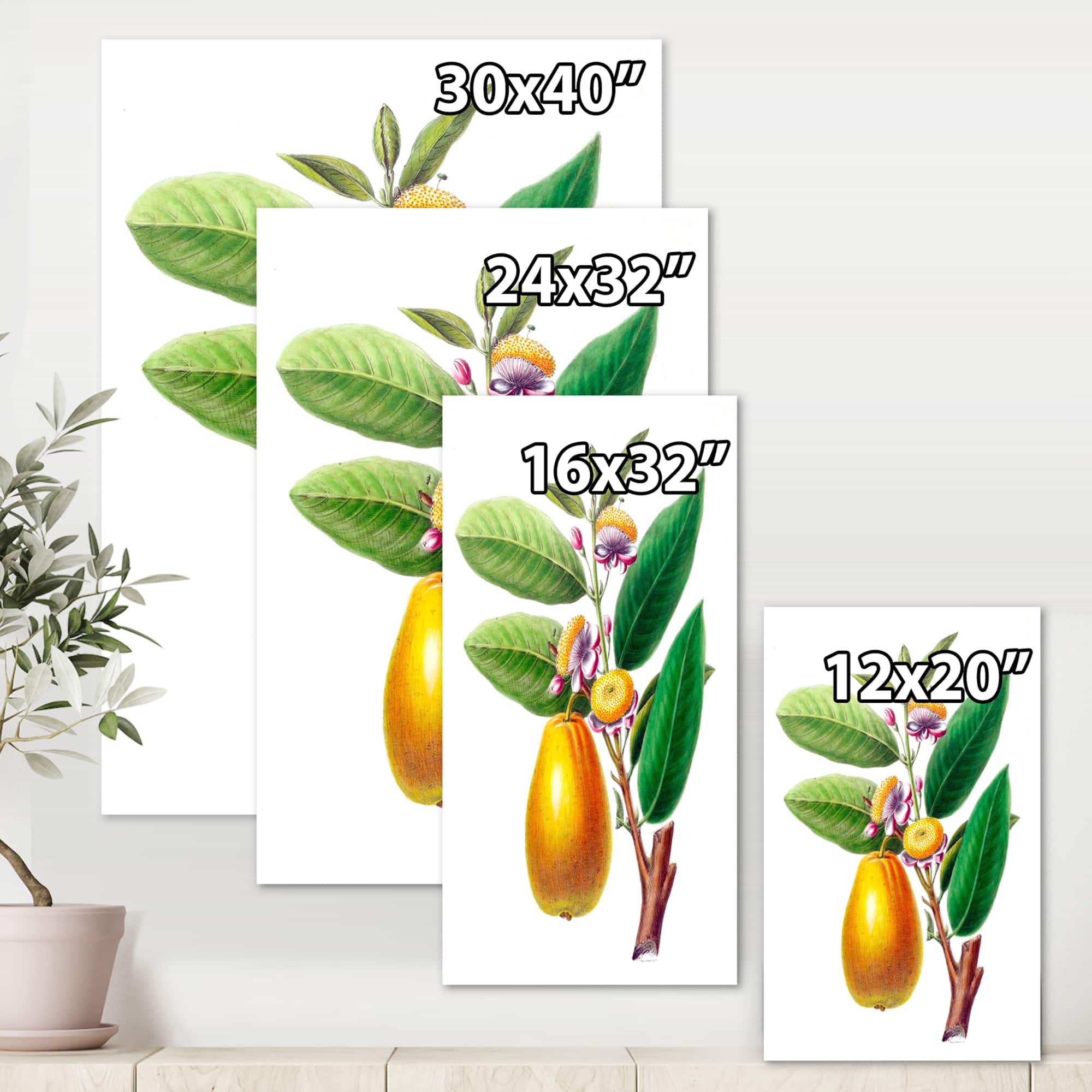 Designart - Vintage Fruits I - Farmhouse Canvas Wall Art Print
