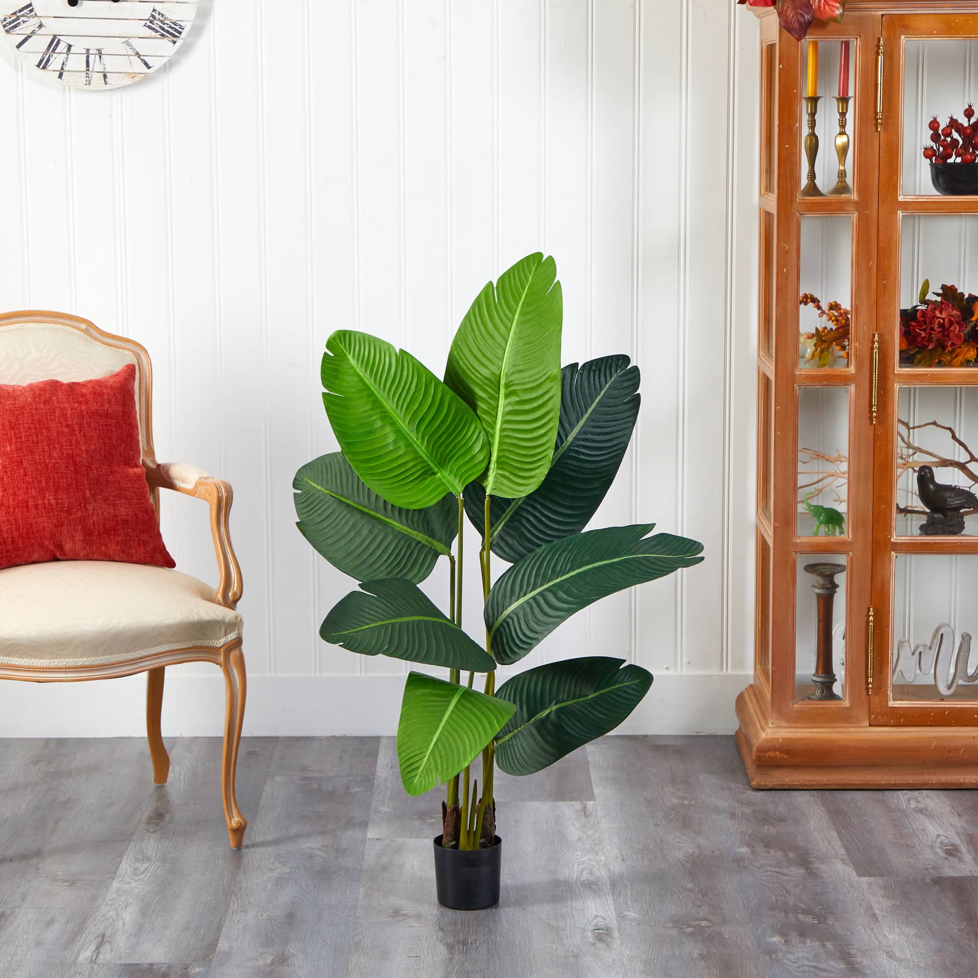 3.5ft. Potted Travelers Palm Tree