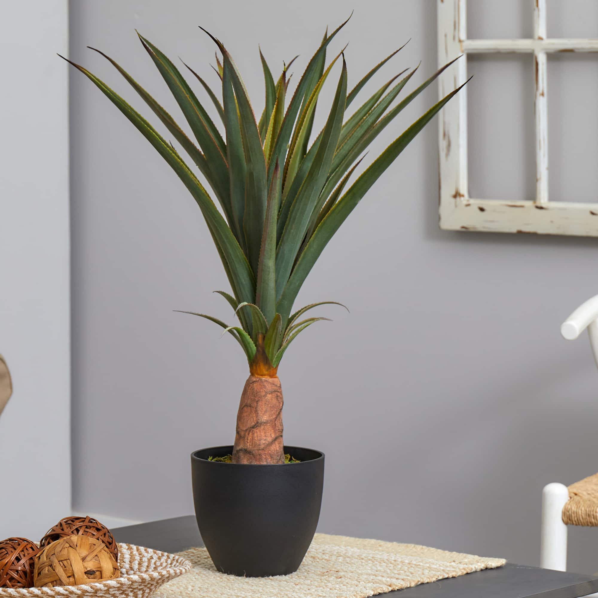 2.5ft. Agave in Black Planter