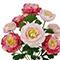 19" Ranunculus Bush by Ashland®